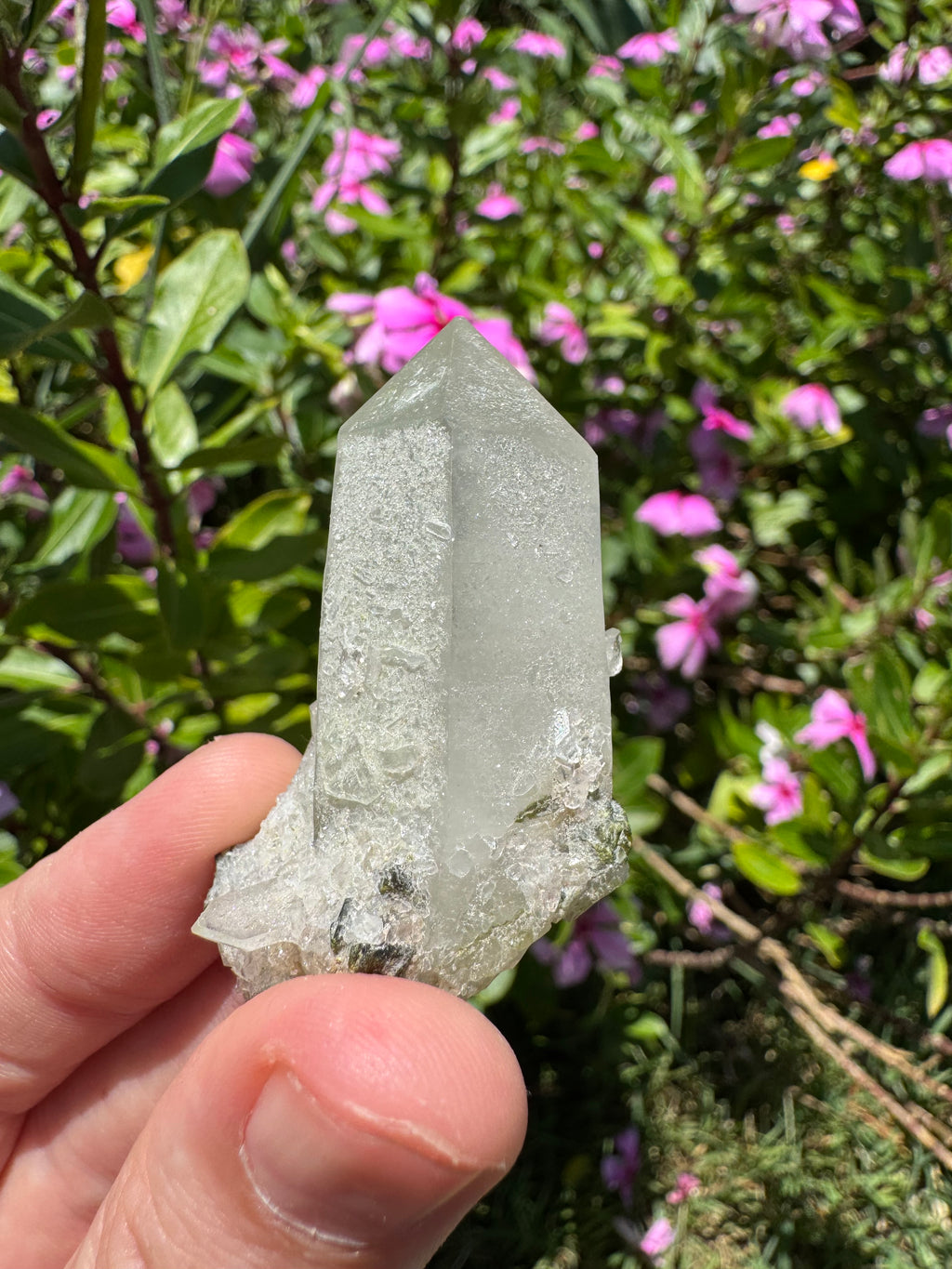 Sugar-Coated Epidote On Quartz Point