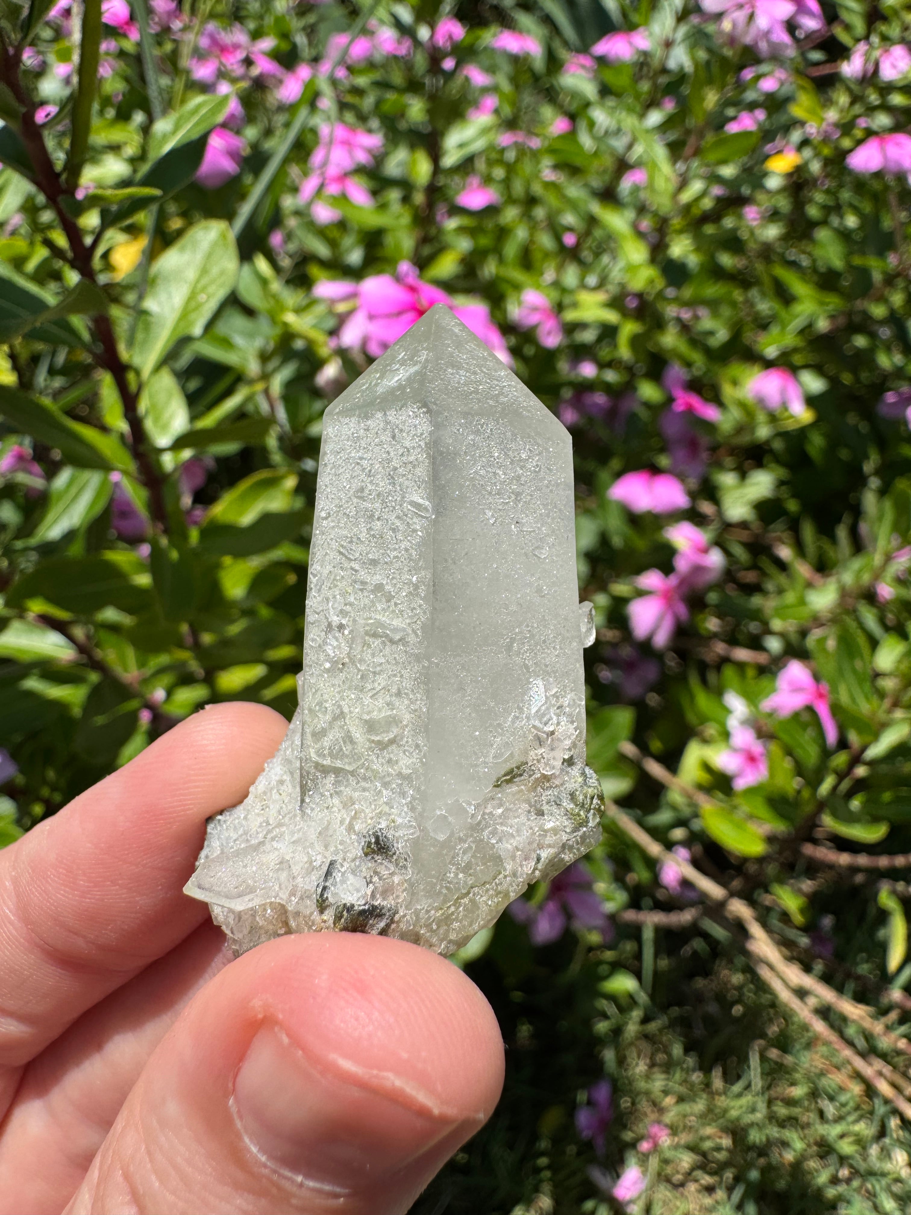 Sugar-Coated Epidote On Quartz Point