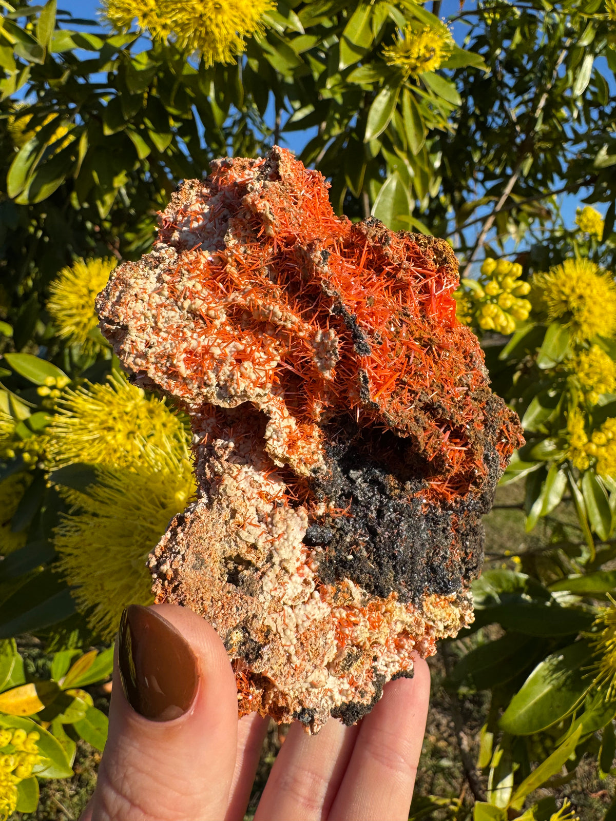 Crocoite Specimen | Tasmania