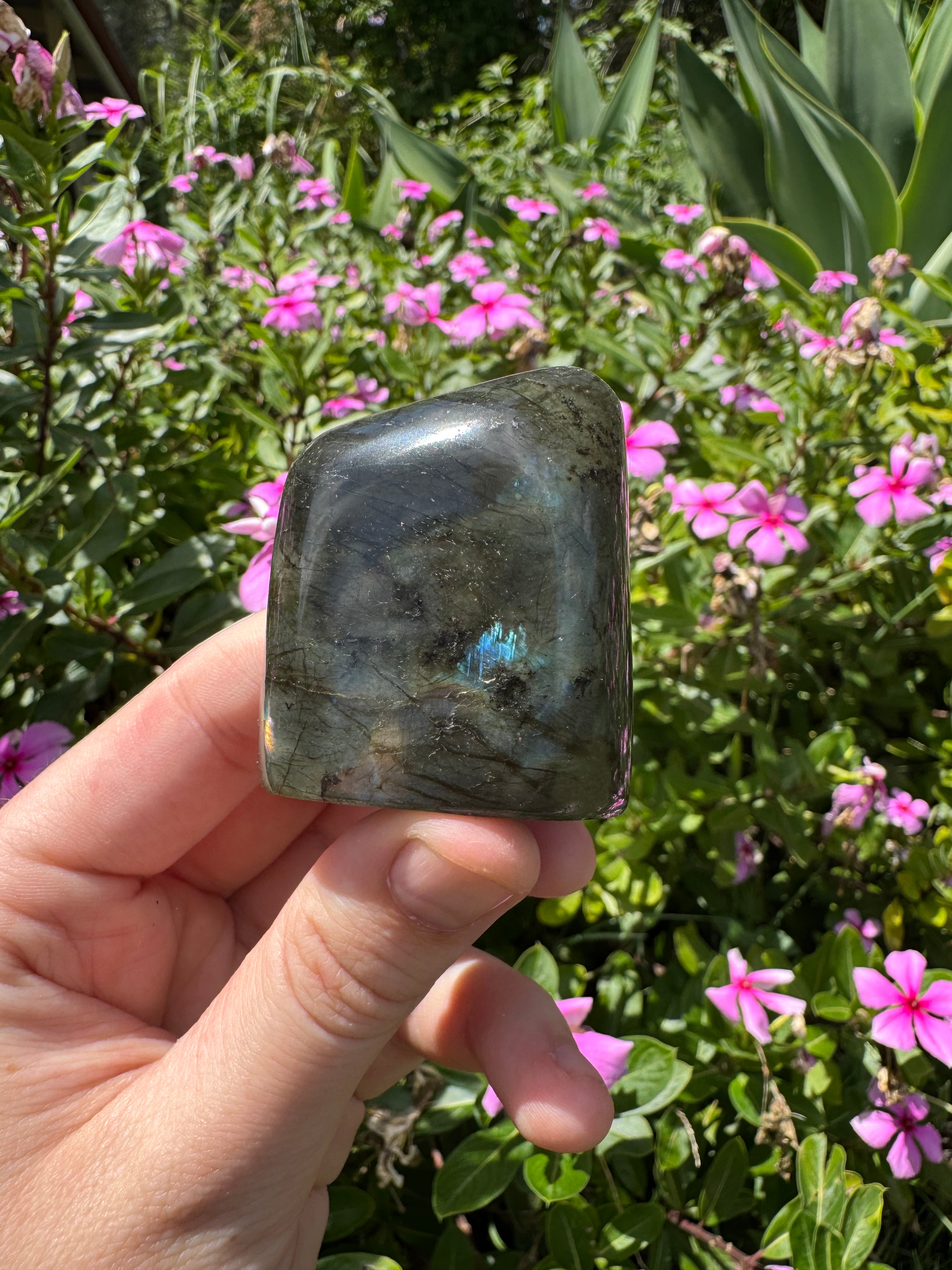 Spectrolite Labradorite Freeform