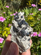 Galena On Quartz Specimen