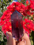 Amethyst Double Terminated Point