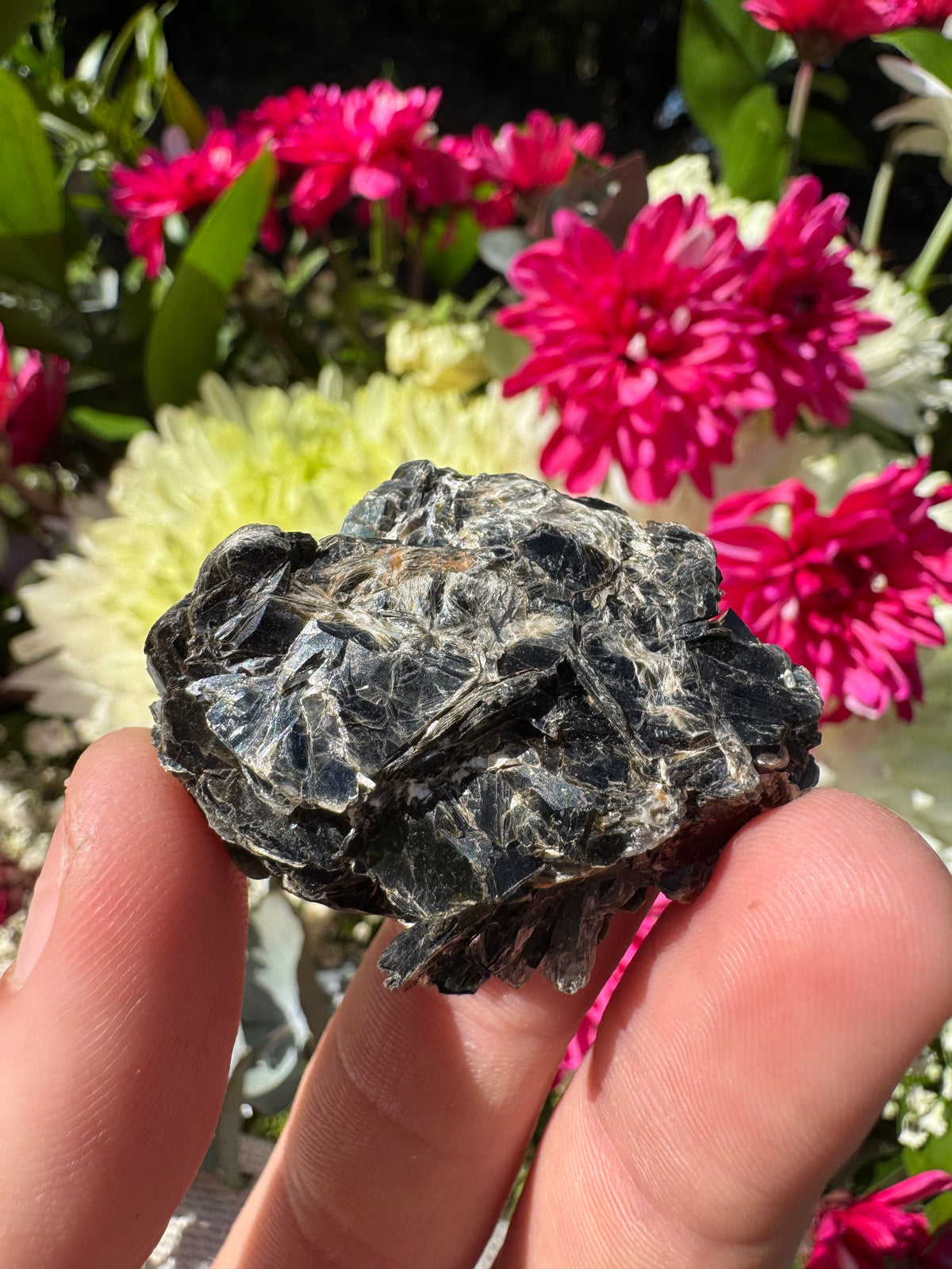 Ocean Kyanite Specimen – Mount Riddock