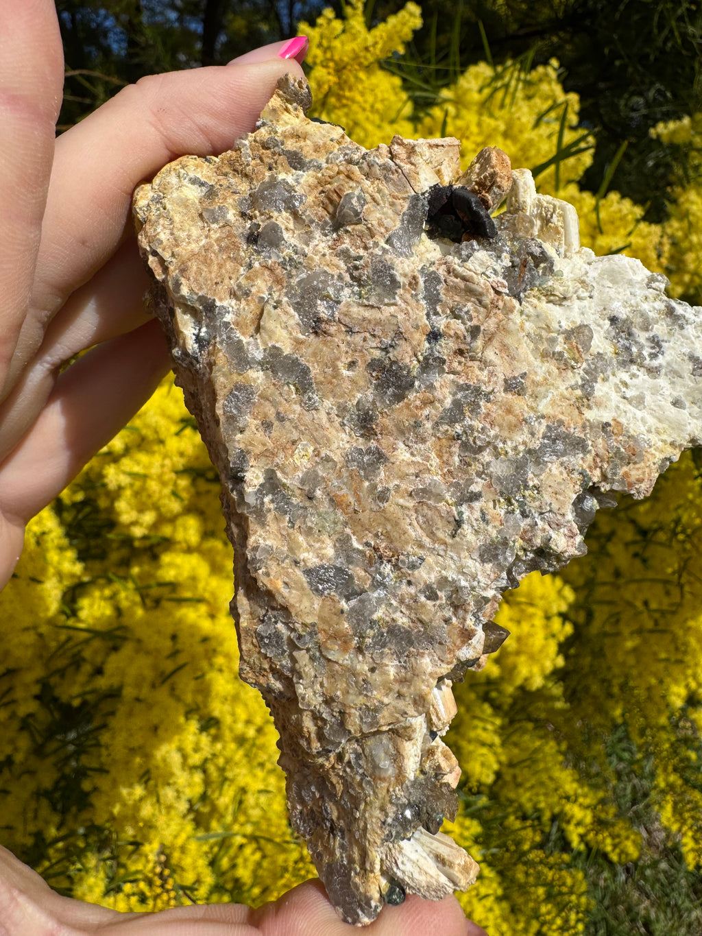 Aquamarine with Feldspar, Fluorite and Quartz on Matrix