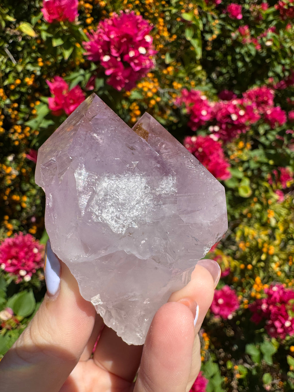 Collector’s Nigerian Phantom Amethyst with Record Keepers