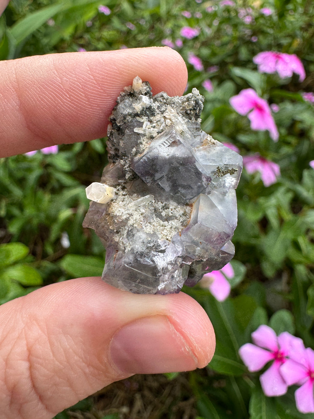 Fluorite And Pyrite With Calcite Point Specimen - High Quality