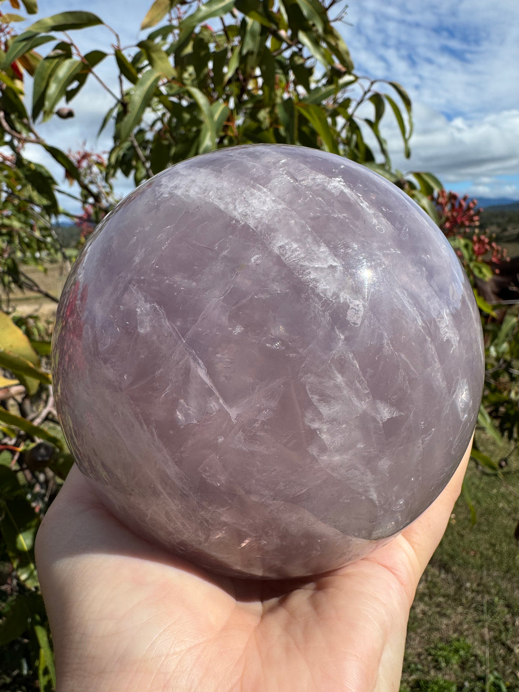 Lavender Rose Quartz Asterism Sphere - Statement 2.9kg