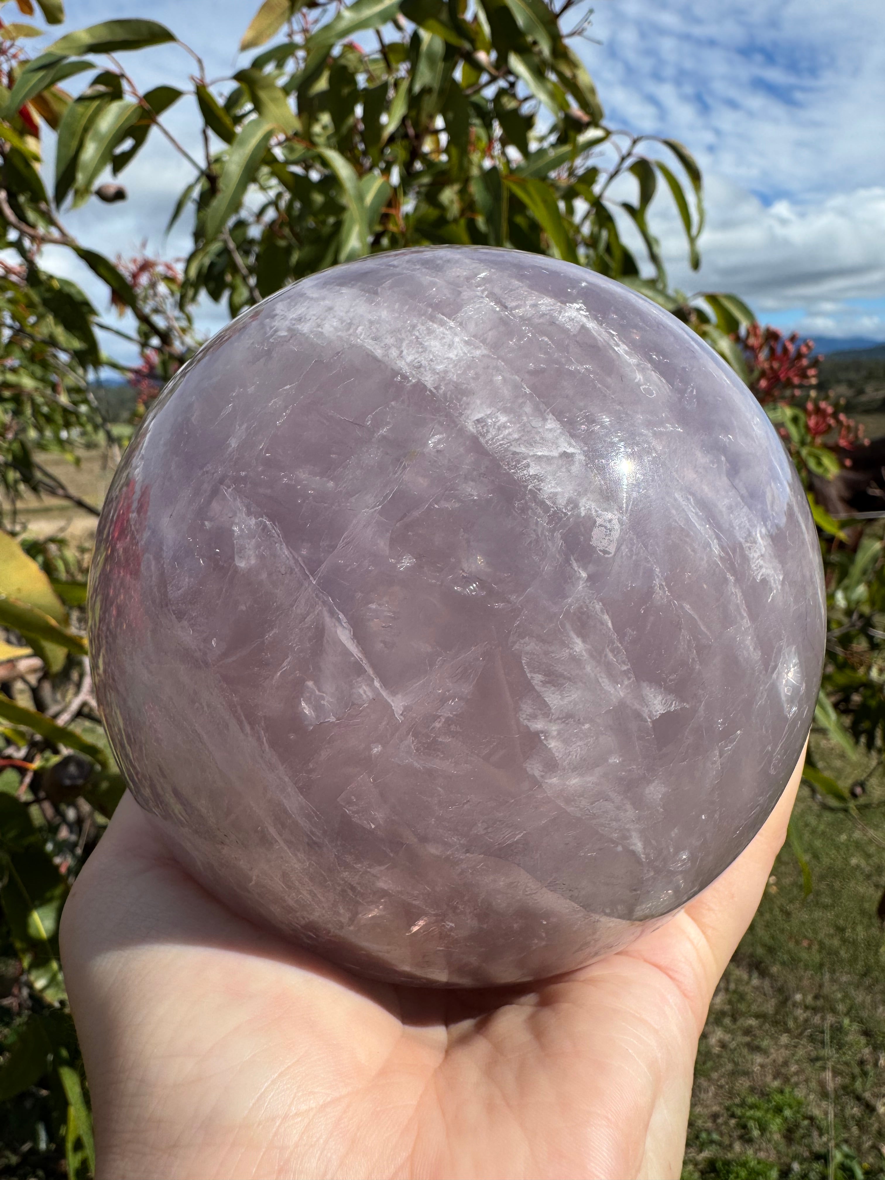 Lavender Rose Quartz Asterism Sphere - Statement 2.9kg