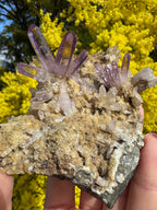 Vera Cruz Amethyst ‘Flower’ Specimen