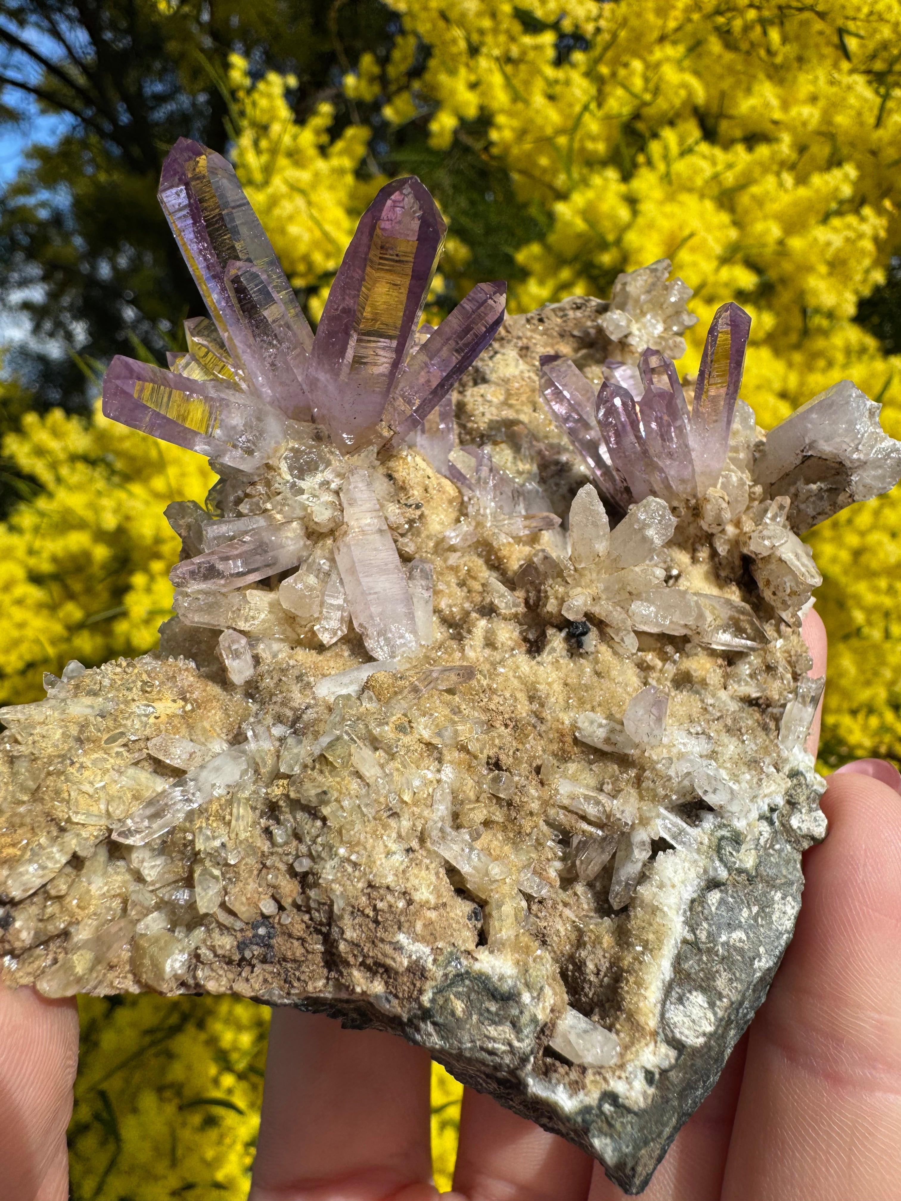 Vera Cruz Amethyst ‘Flower’ Specimen