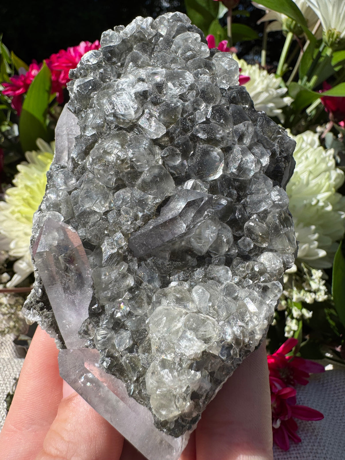 Amethyst Points With Botryoidal Green Fluorite Specimen - Brandberg
