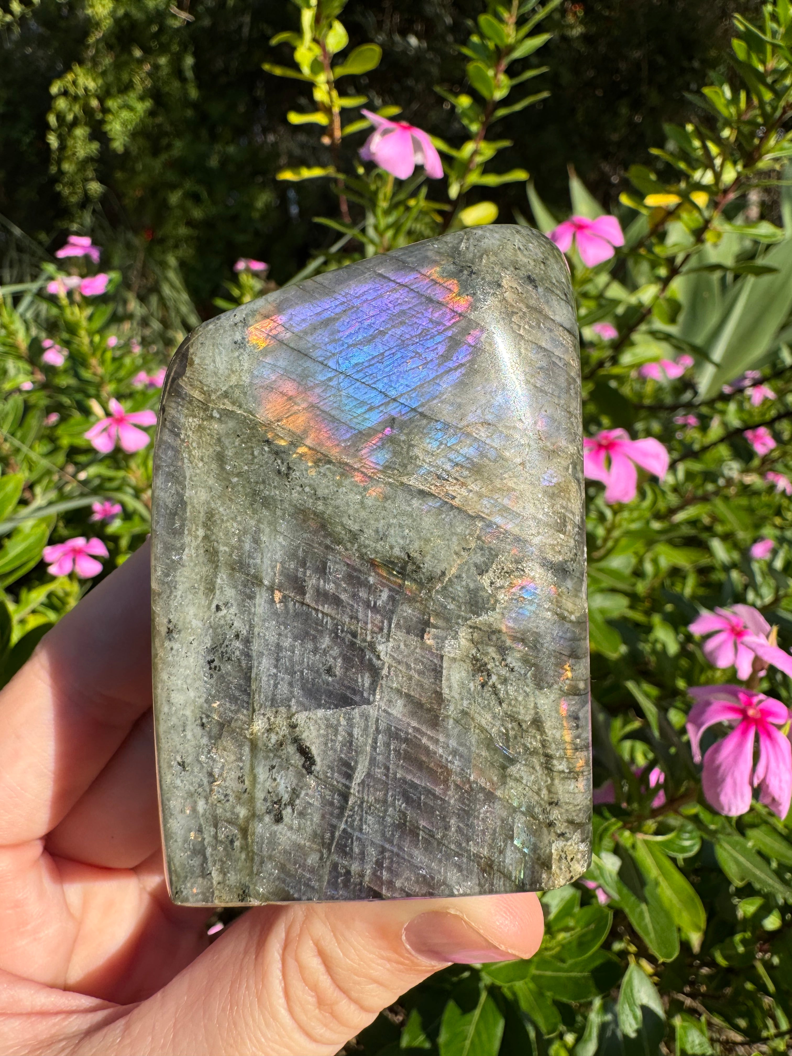 Labradorite Standing Freeform