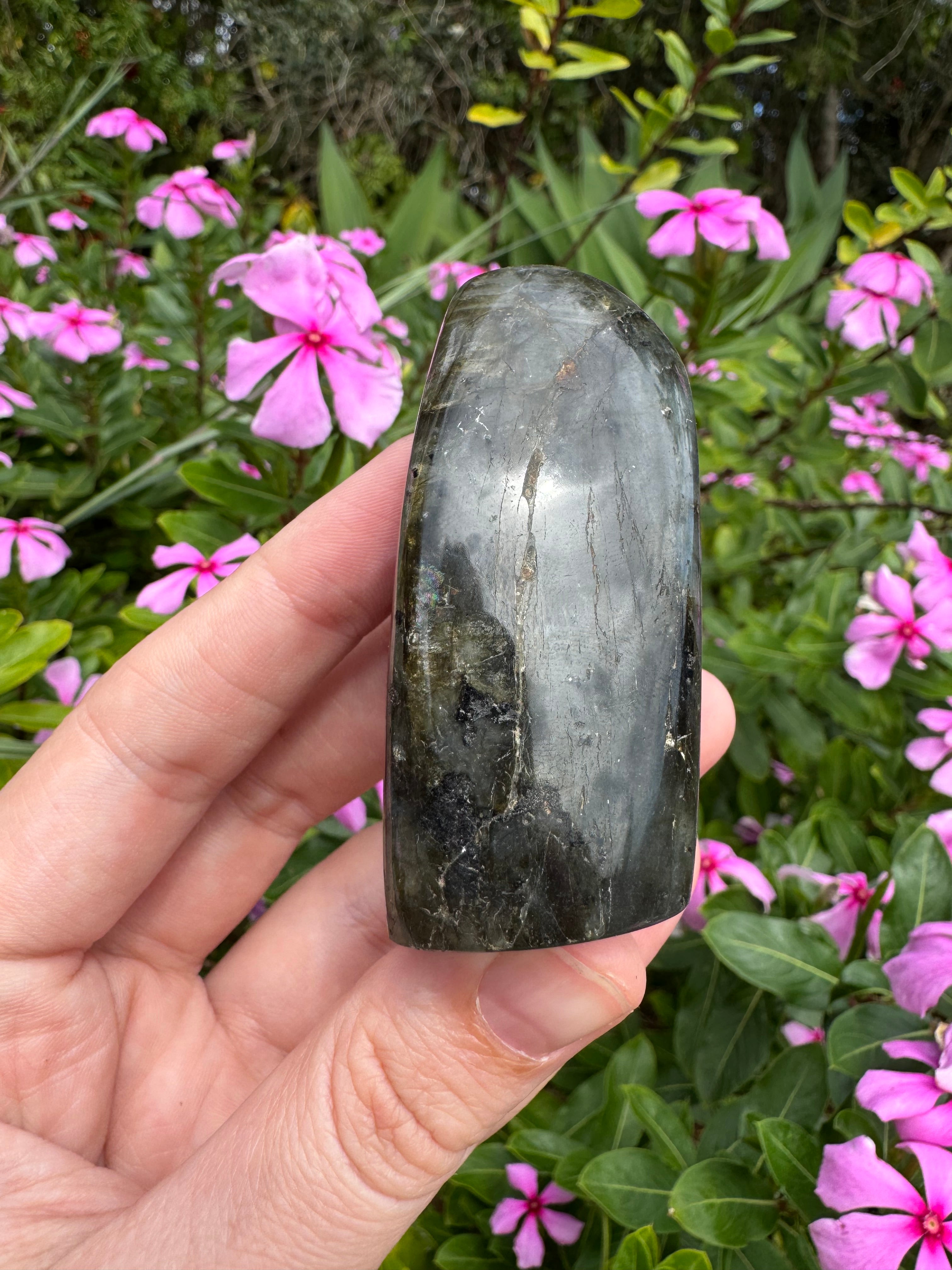 Labradorite Standing Freeform