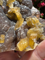 Golden Barite With Botryoidal Chocolate Calcite Specimen | 1.6kg