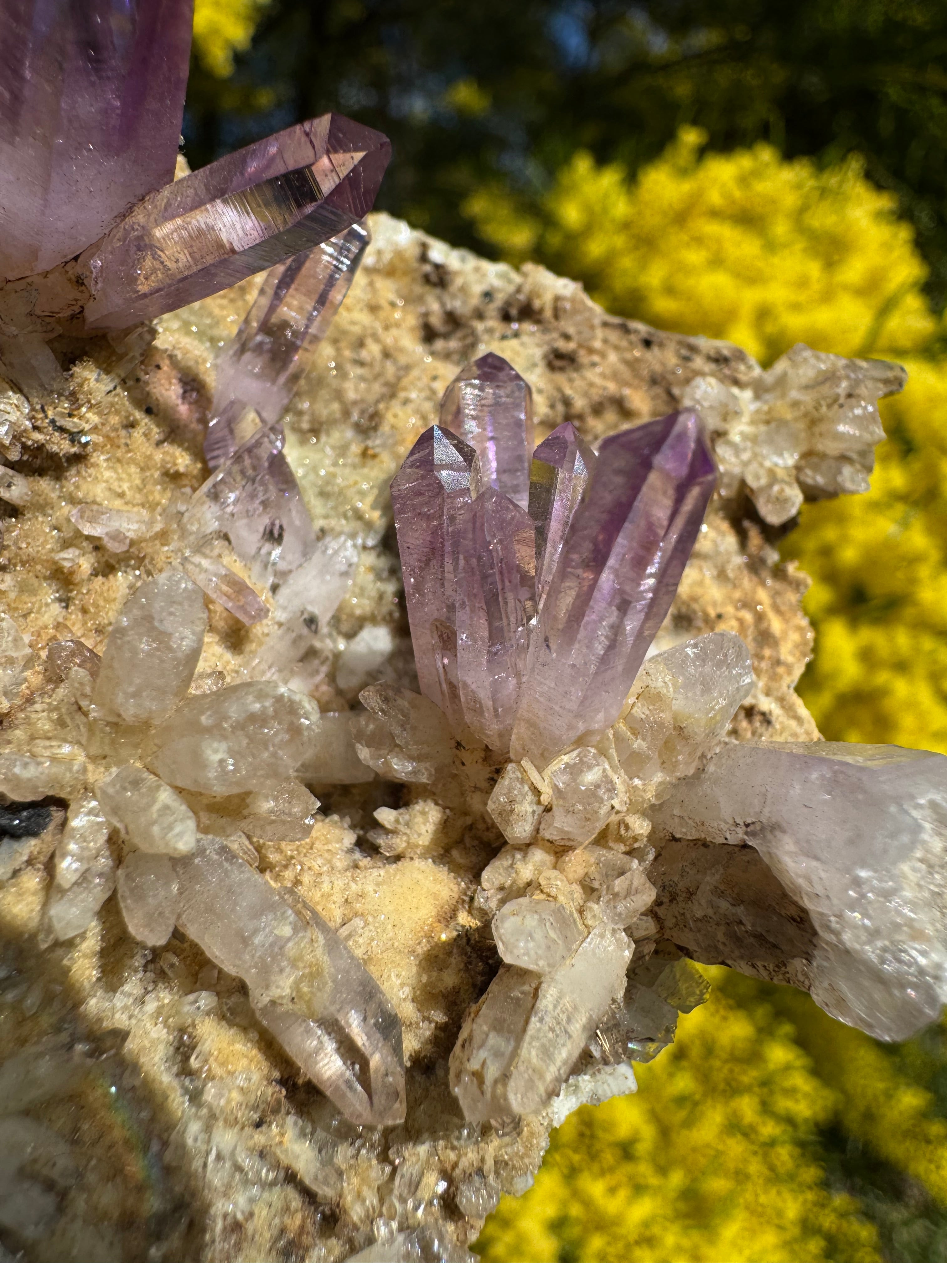 Vera Cruz Amethyst ‘Flower’ Specimen