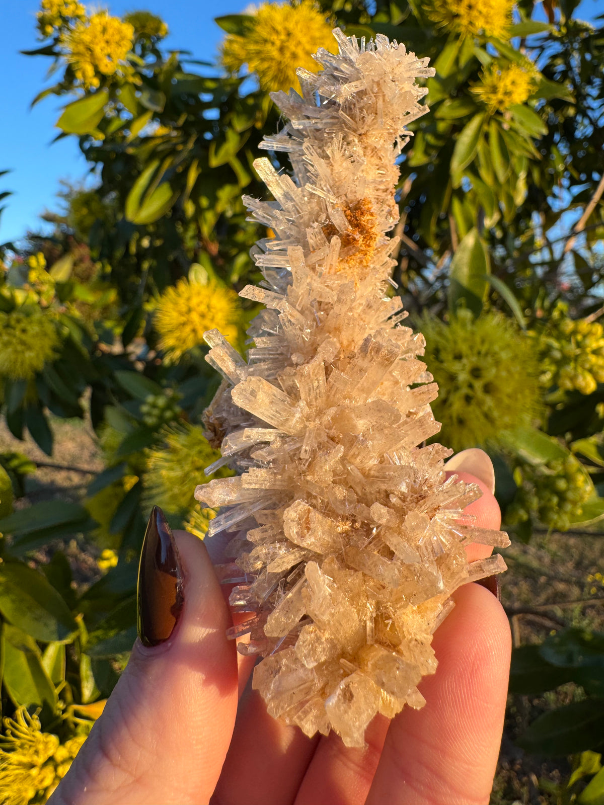 Selenite ‘Gypsum’ Natural Specimen - Chillingollah