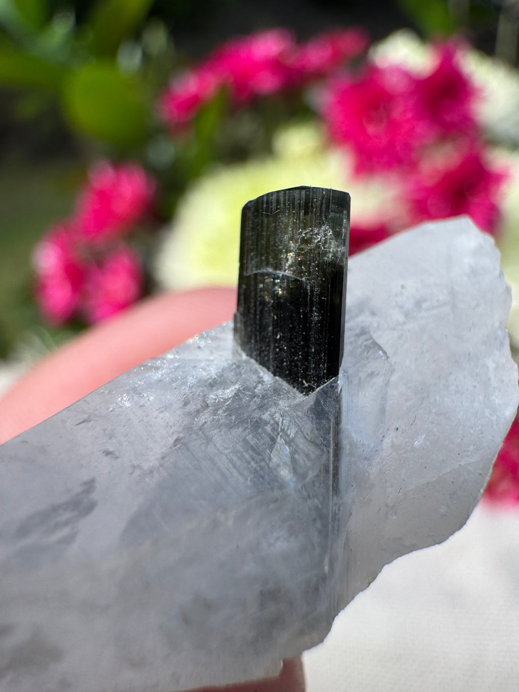 Green Capped Tourmaline in Quartz Specimen