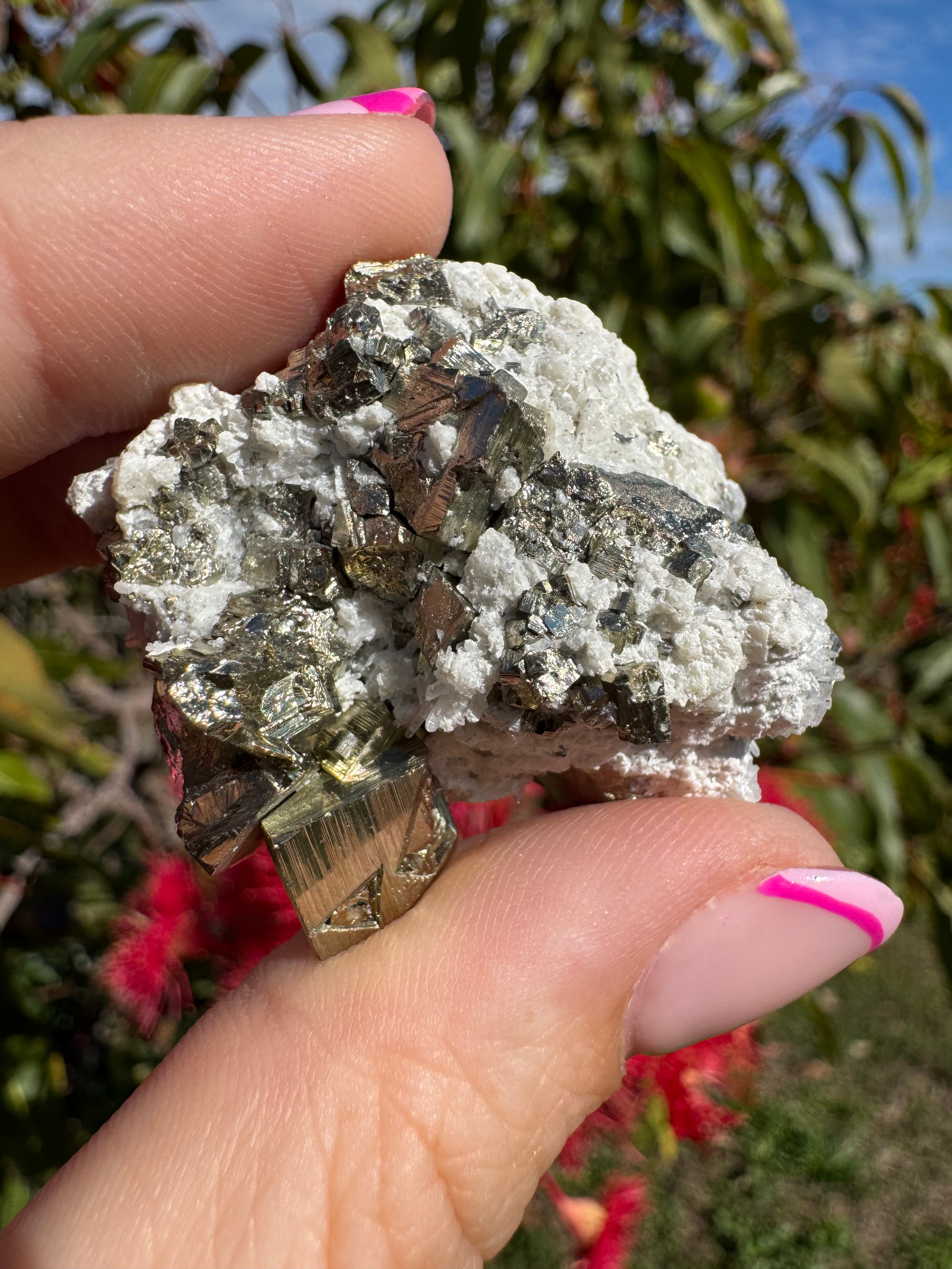 Pyrite Cubes on Quartz Specimen