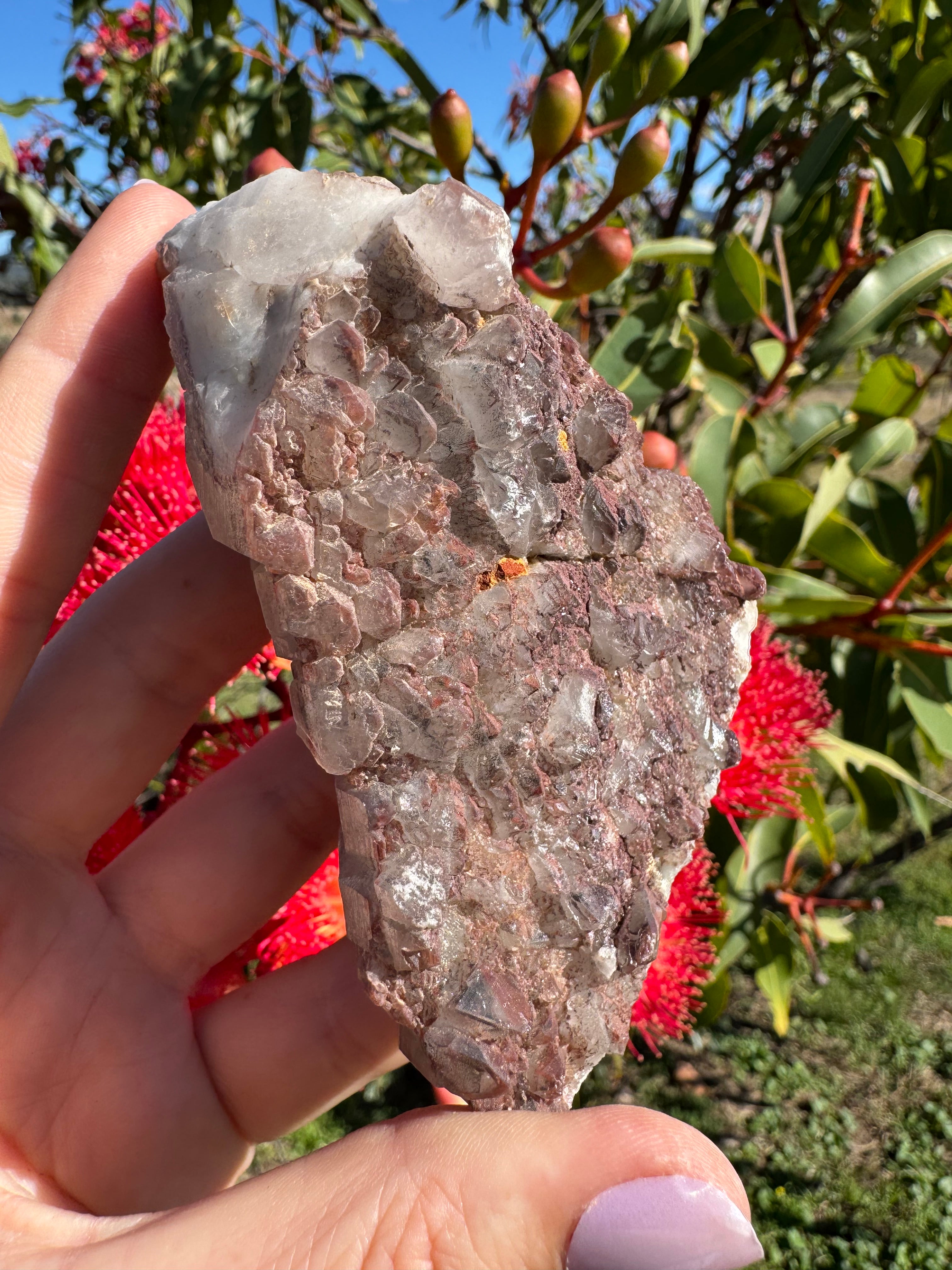 Hematite Coated Smoky Quartz Cluster - Mt Isa