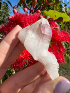 Himalayan Quartz Cluster