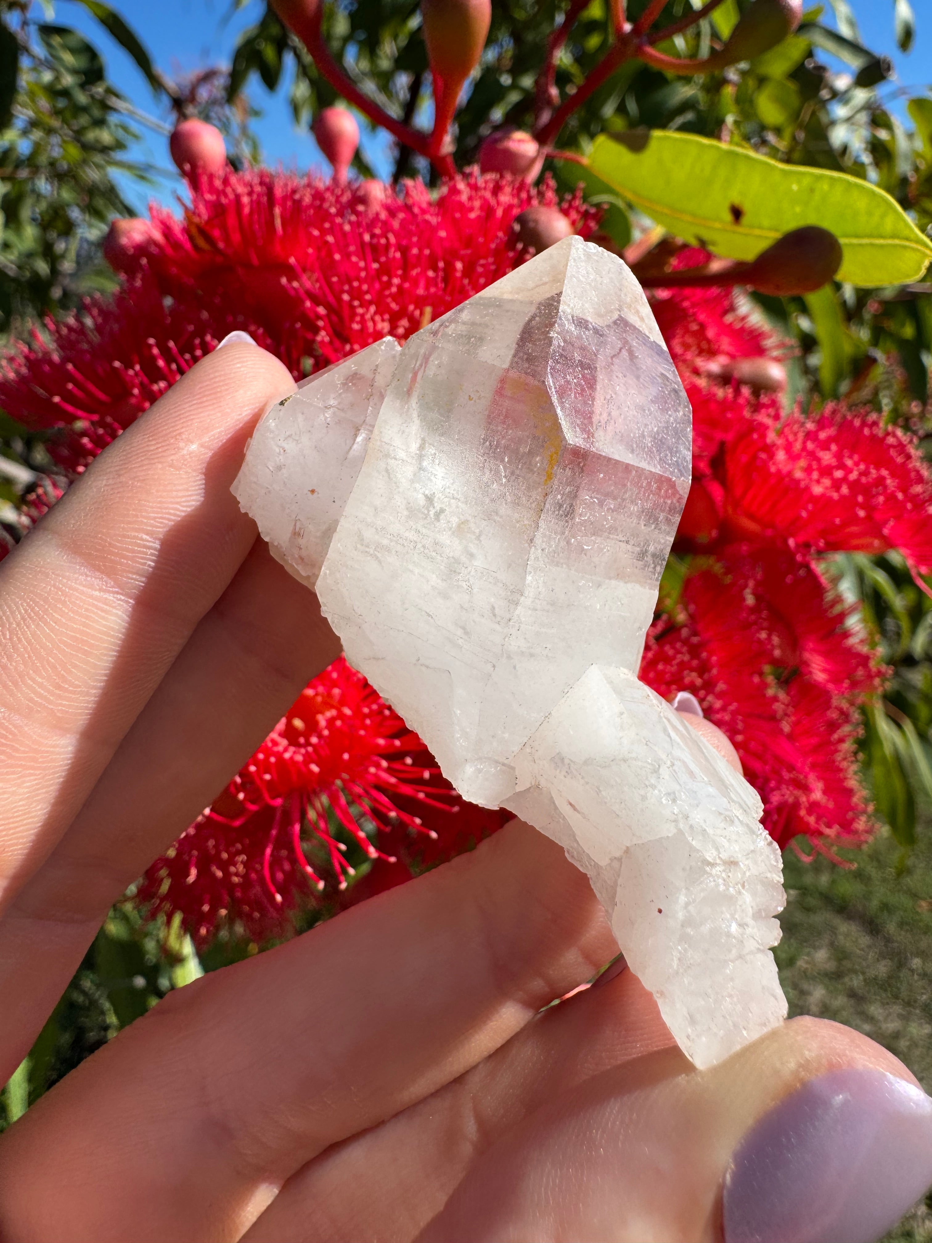 Himalayan Quartz Cluster