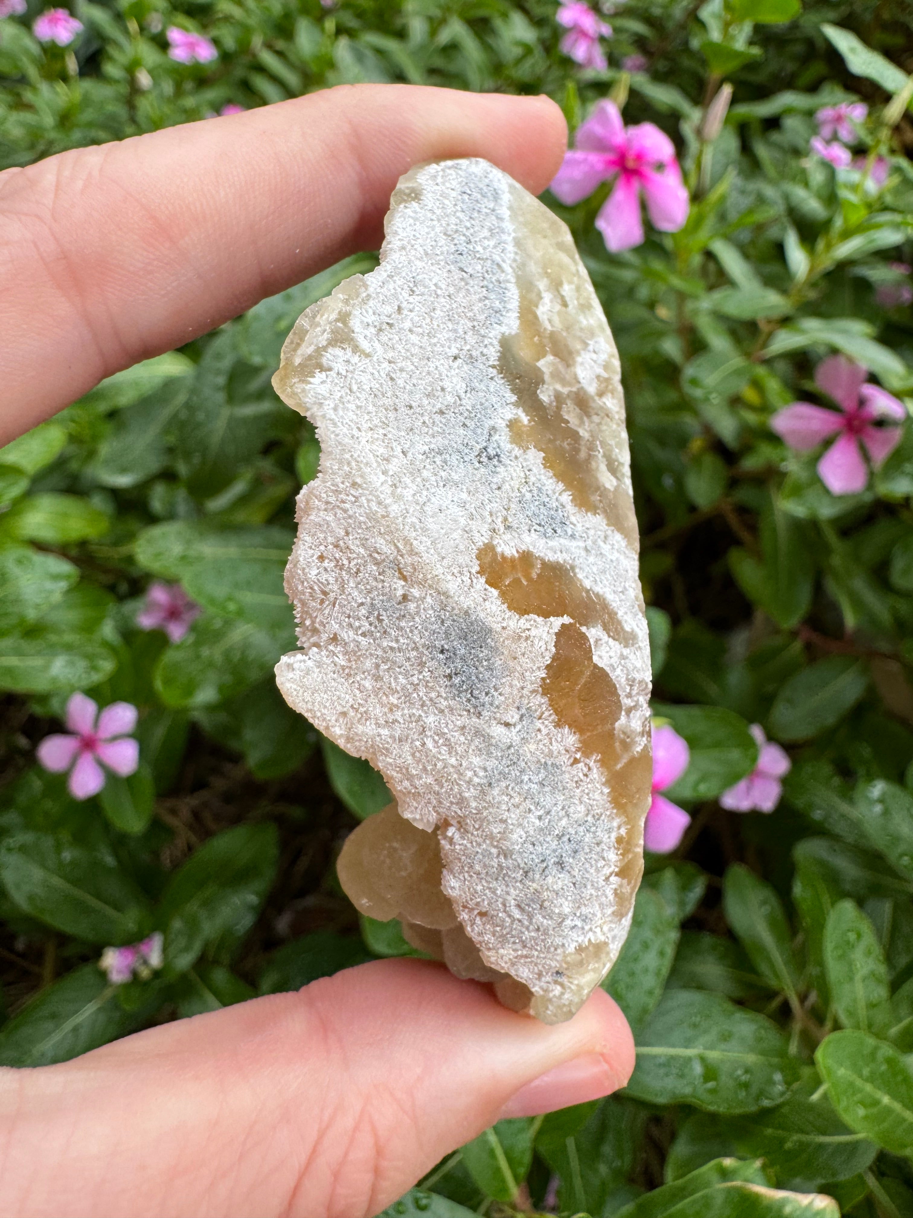 Yellow Fluorite Botryoidal Specimen