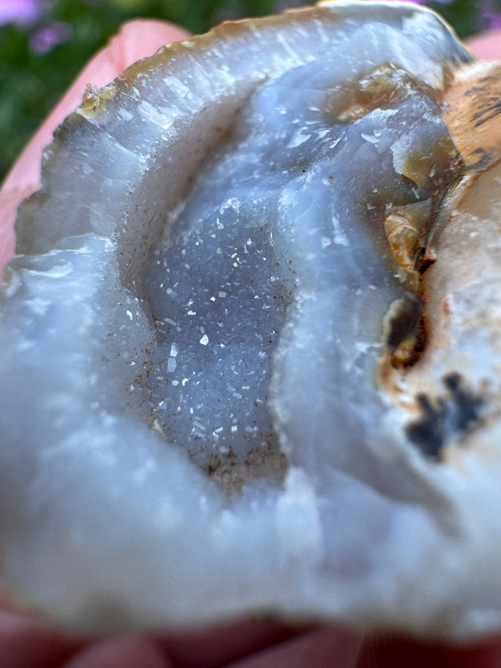 Spiralite ‘Gastropod’ Fossil