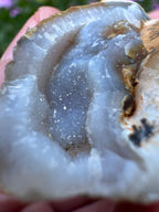 Spiralite ‘Gastropod’ Fossil