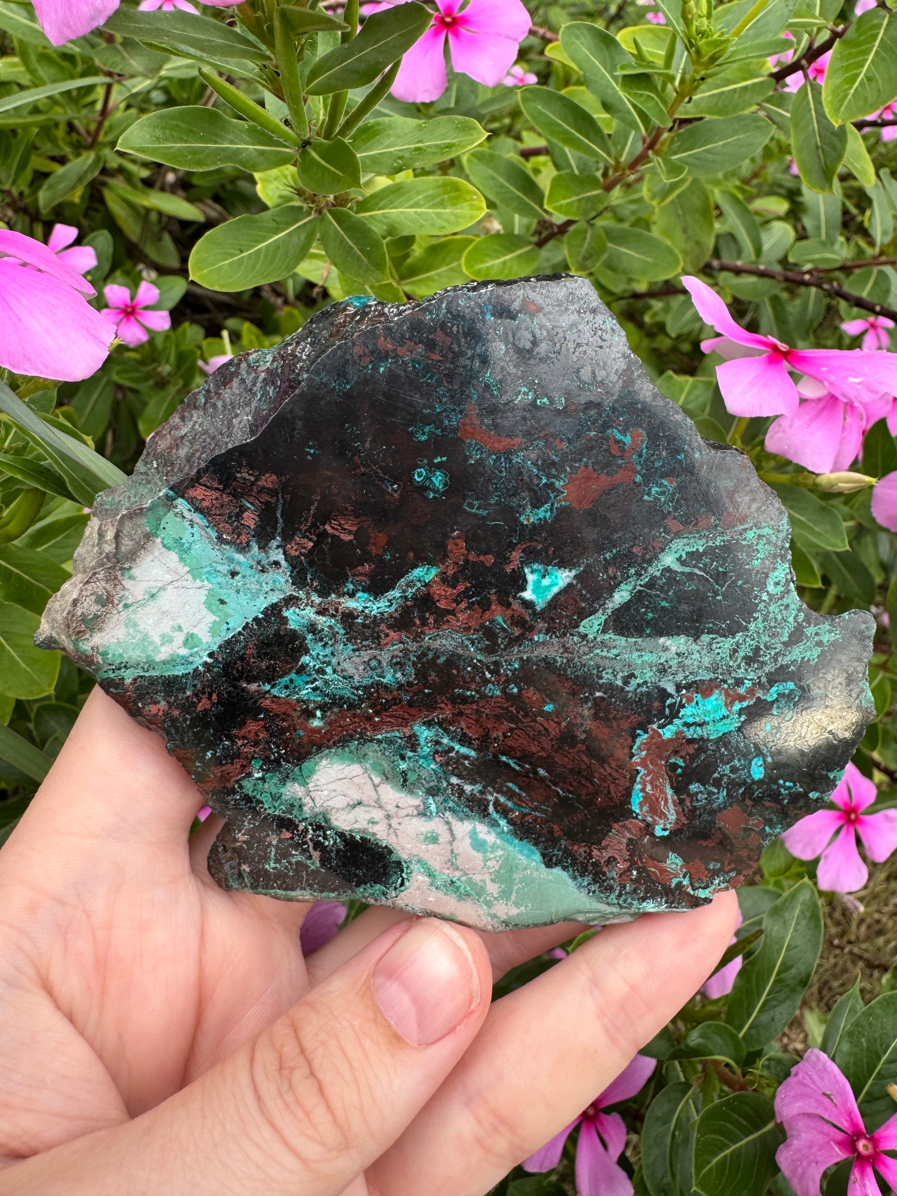 Shattuckite Slice with Stand