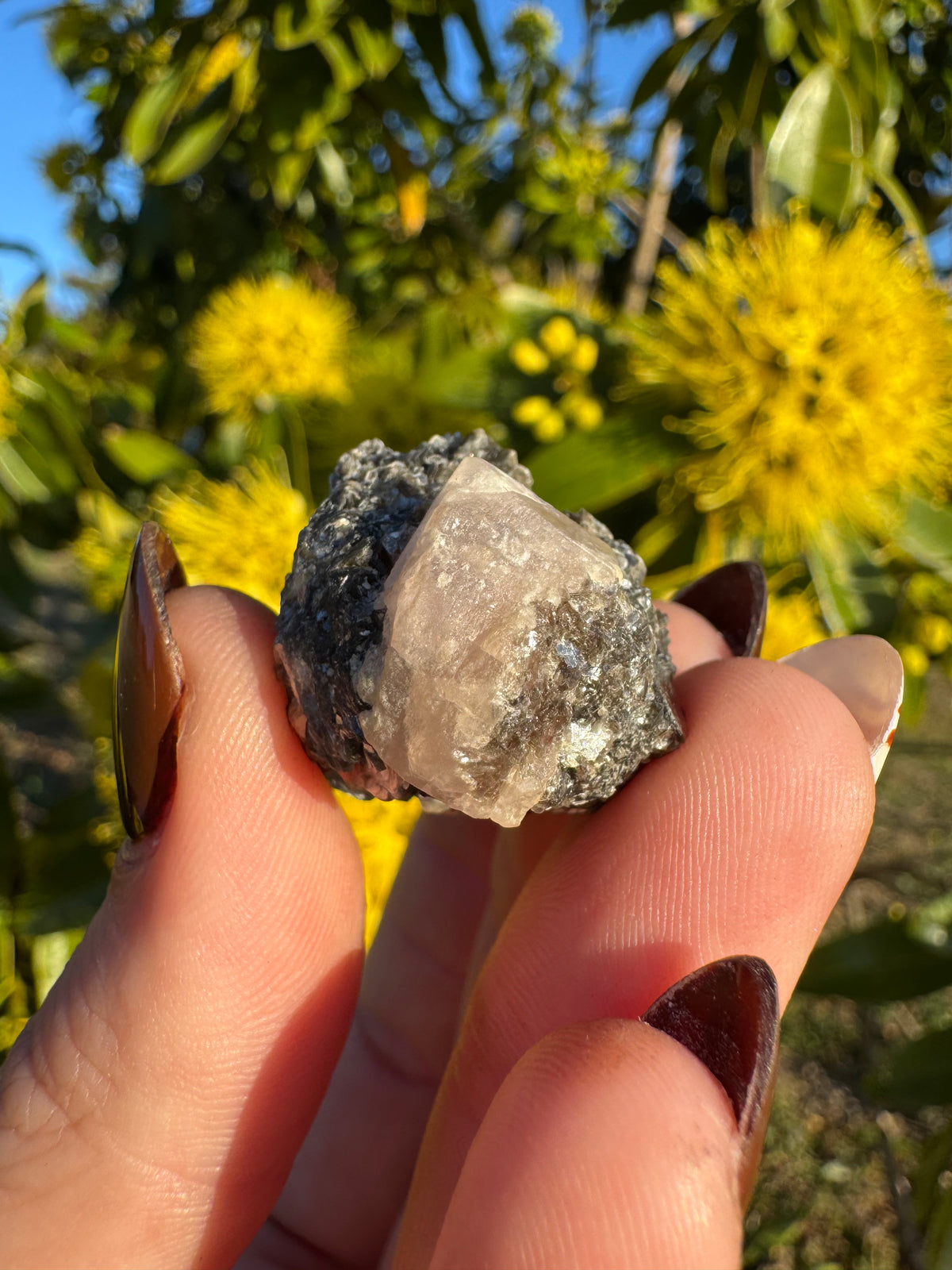 Pink Apatite On Mica Matrix Specimen