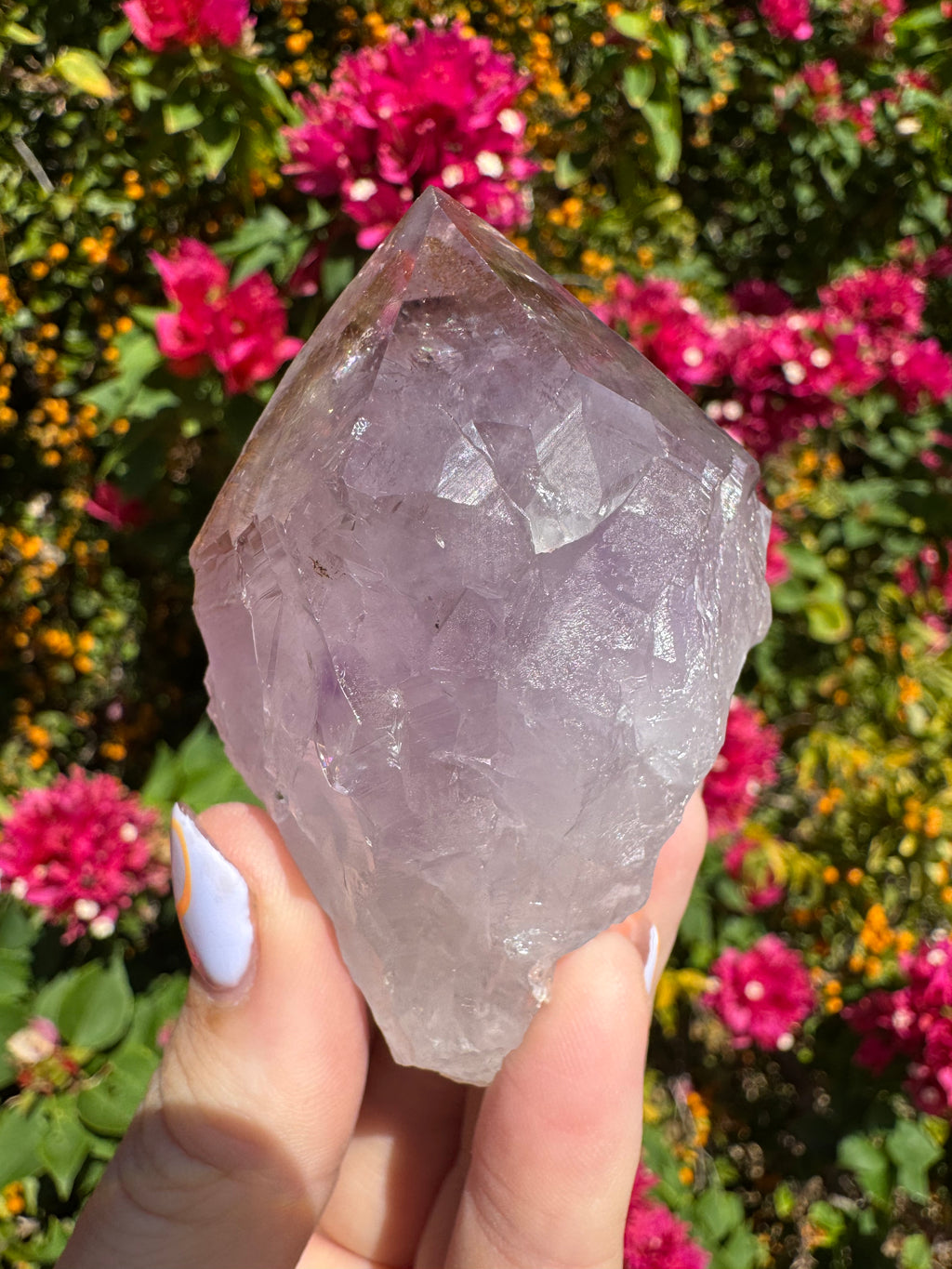 Collector’s Nigerian Phantom Amethyst with Record Keepers