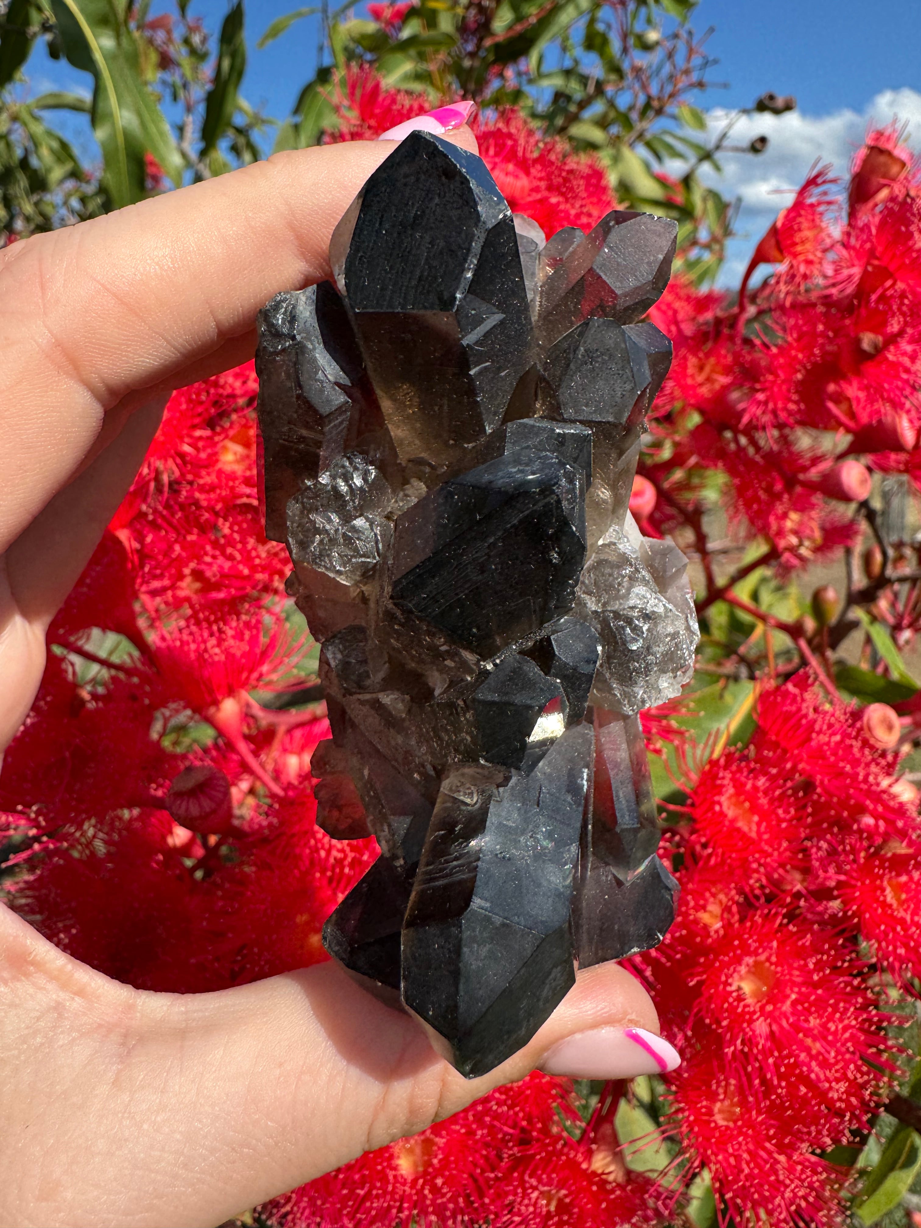 Deep Black Smoky Quartz Cluster