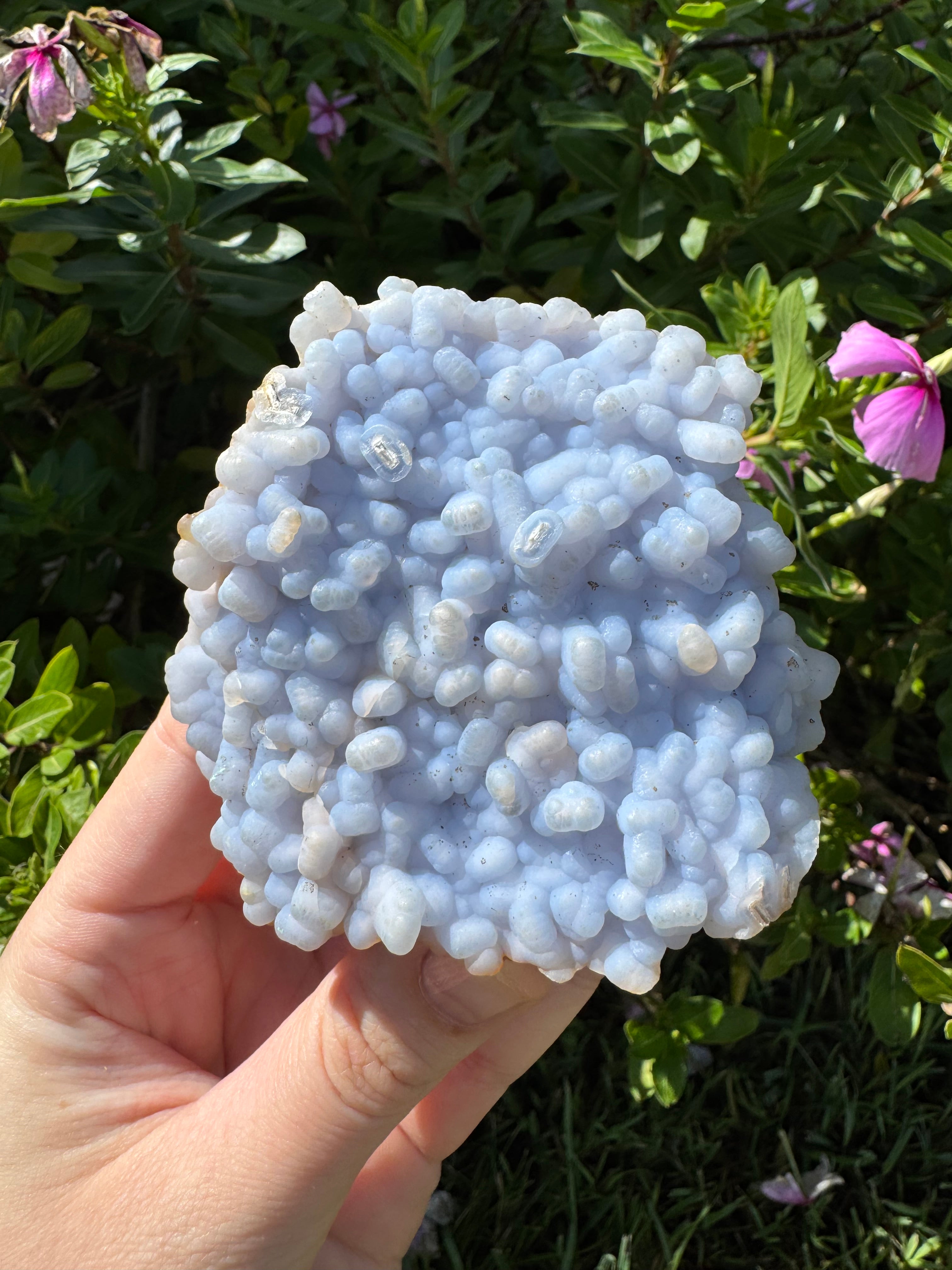 Angelite ‘Botryoidal’ Cluster Specimen