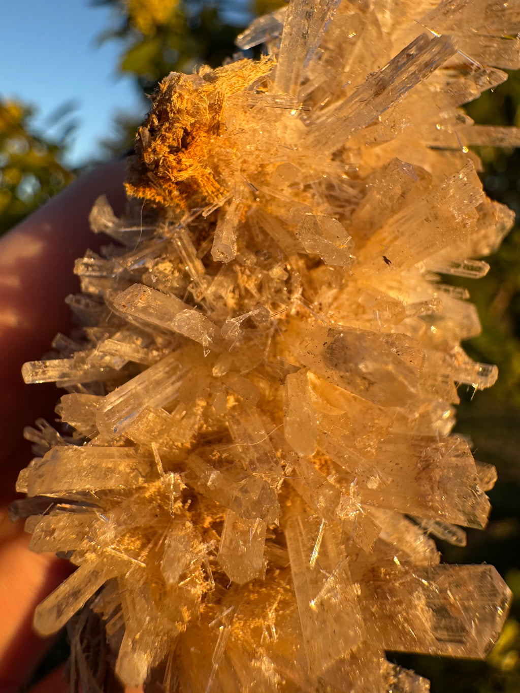 Selenite ‘Gypsum’ Natural Specimen - Chillingollah