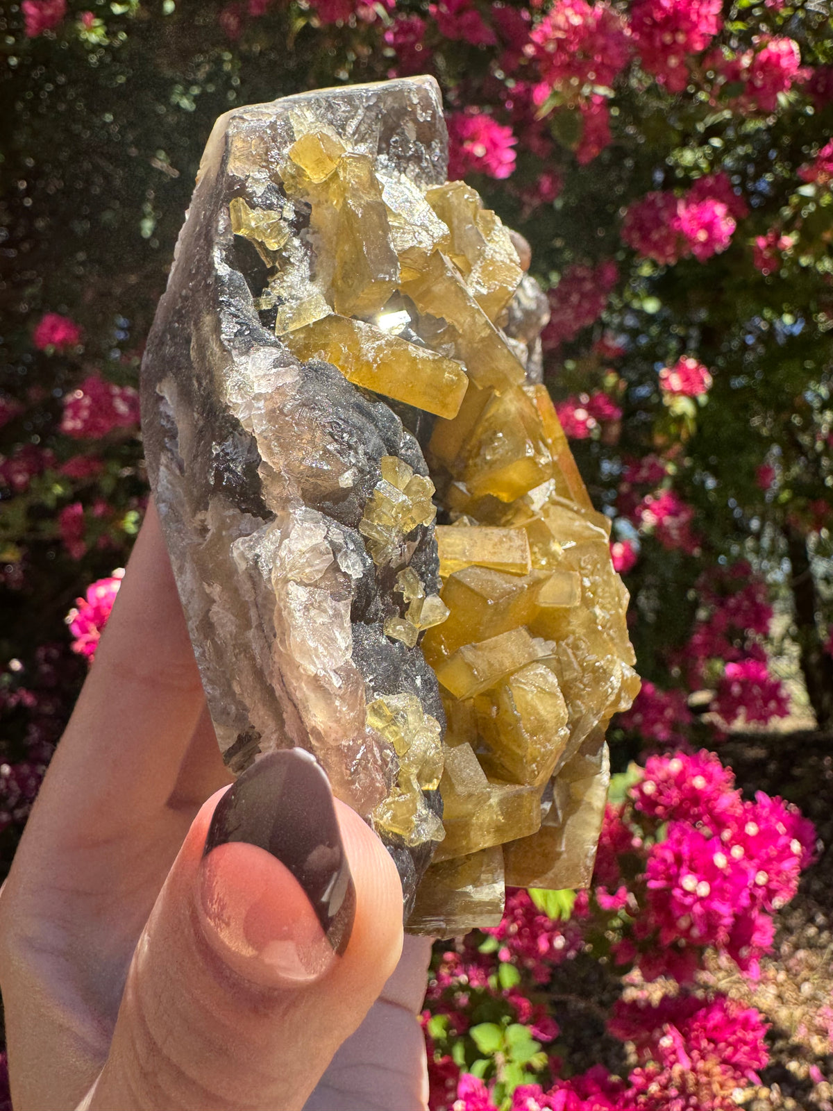 Golden Barite With Botryoidal Chocolate Calcite Specimen | 1.6kg