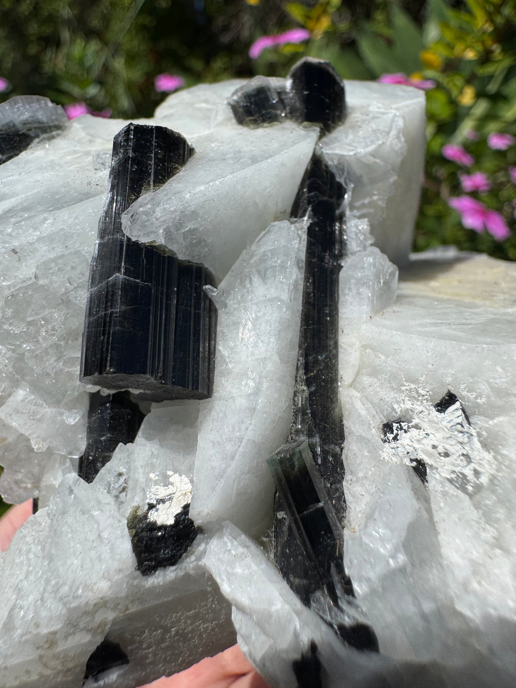 Black Tourmaline in Quartz Specimen