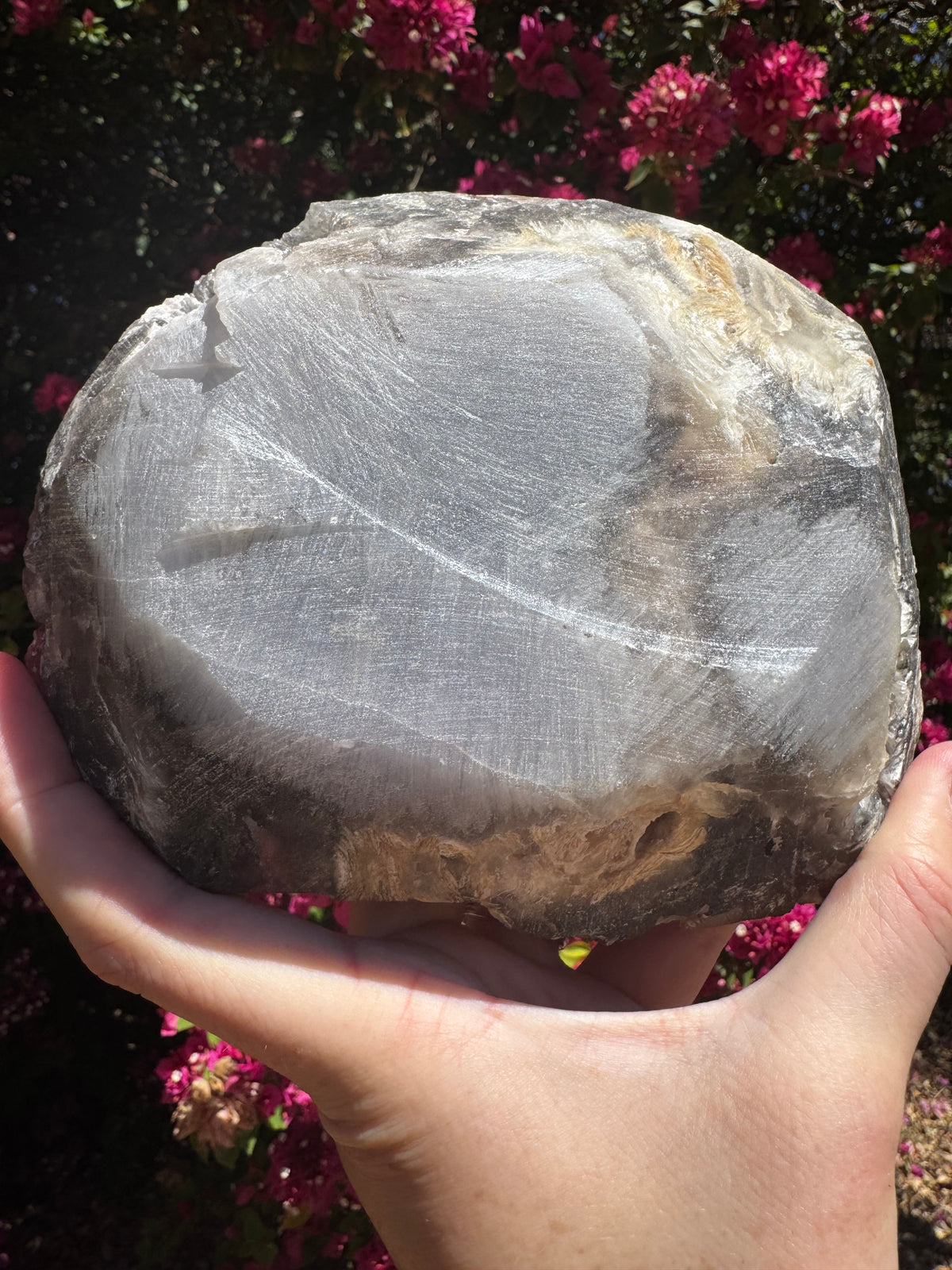 Golden Barite With Botryoidal Chocolate Calcite Specimen | 1.6kg