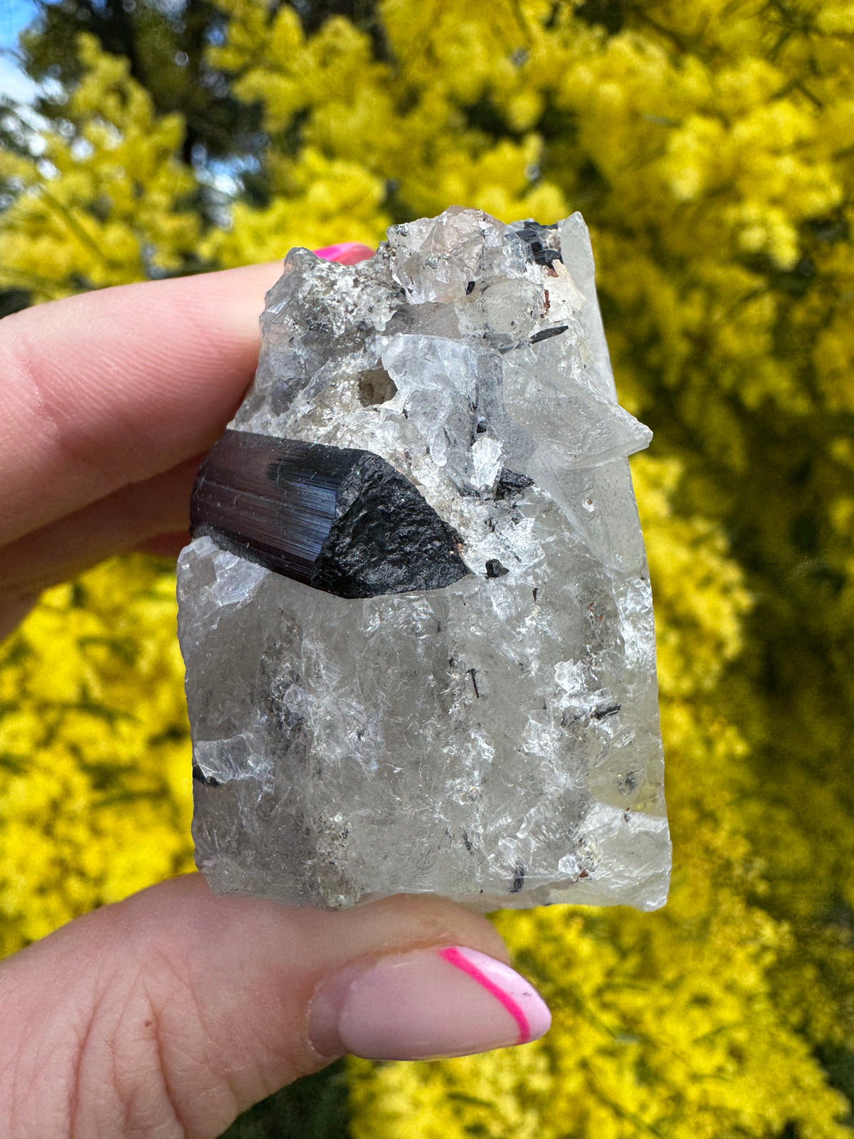 Black Tourmaline In Quartz Specimen