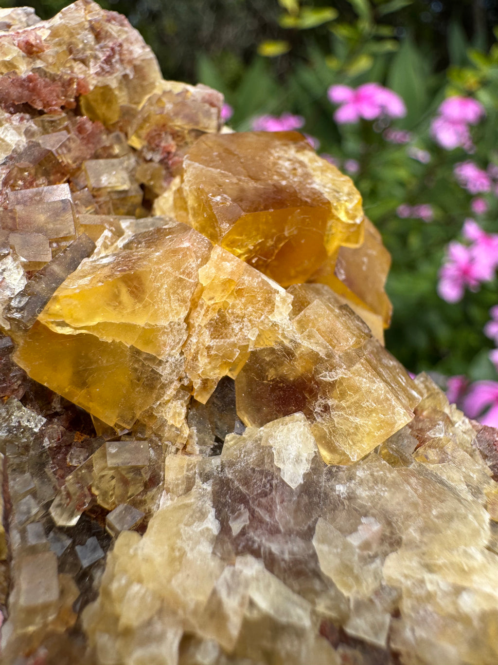 Yellow Cubic Fluorite on Iron-Stained Quartz Specimen