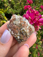 Octahedral Fluorite And Garnet Specimen