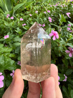 Smoky Quartz Generator - High Quality