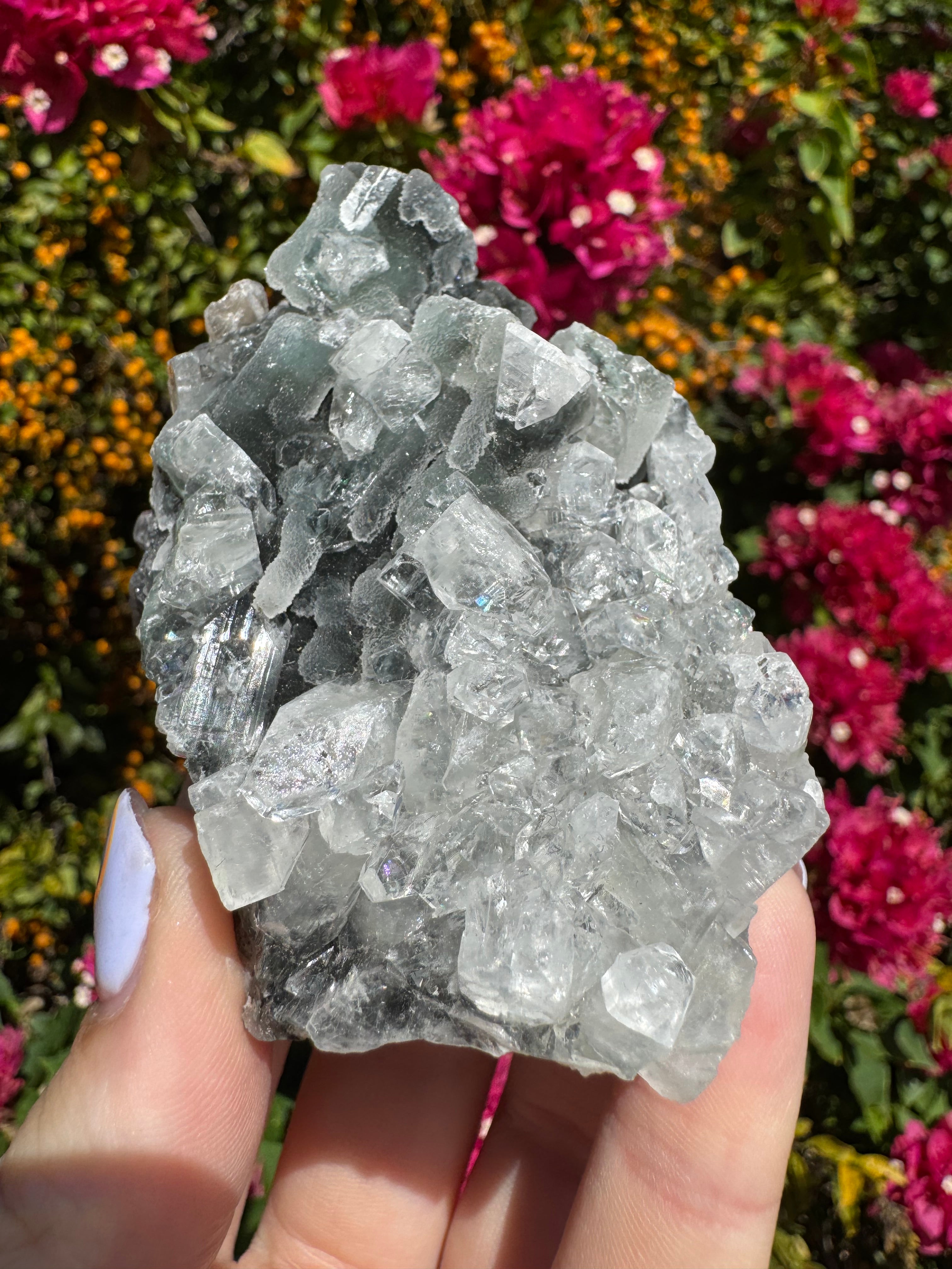 Black Chalcedony Stalactites with Apophyllite