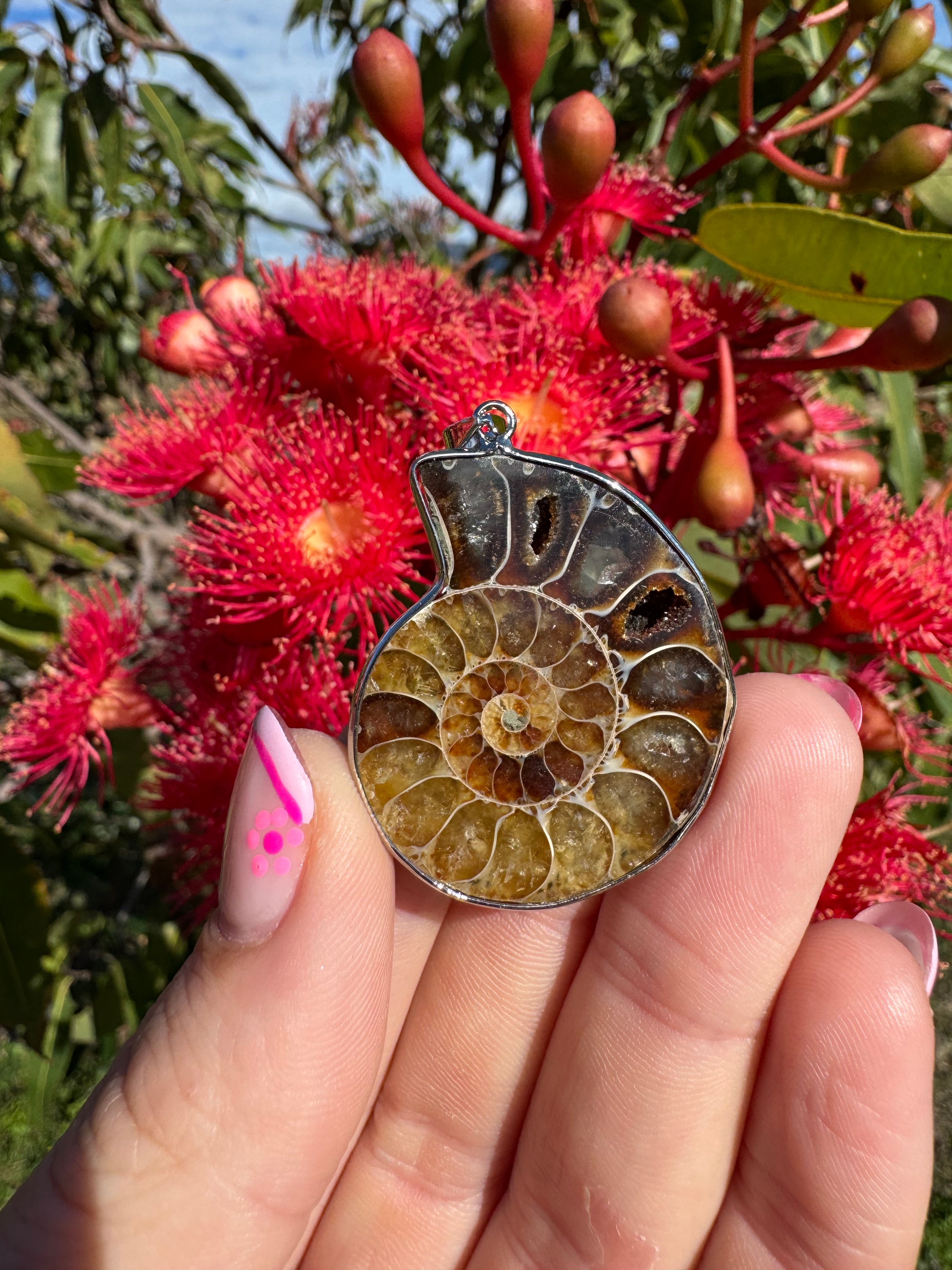 Opalised Ammonite Fossil Pendant