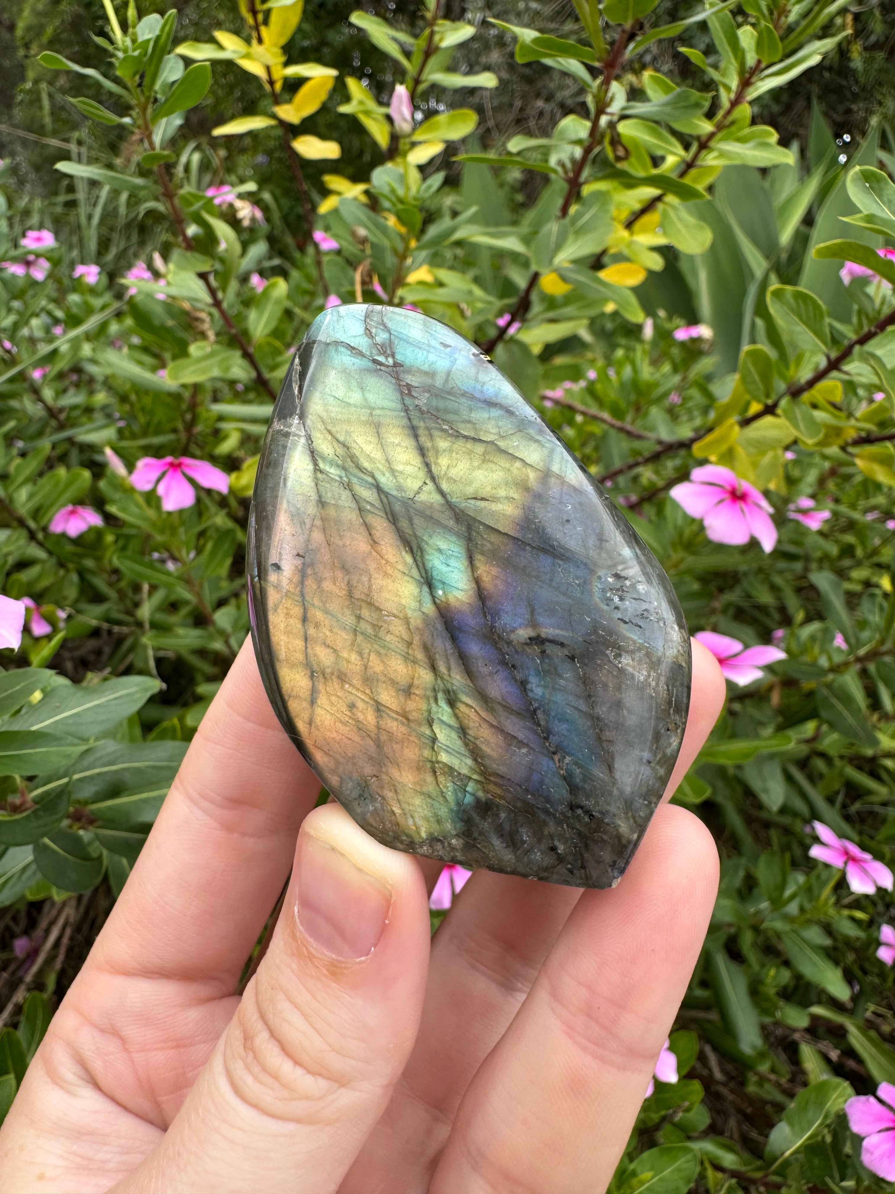 Labradorite Standing Freeform