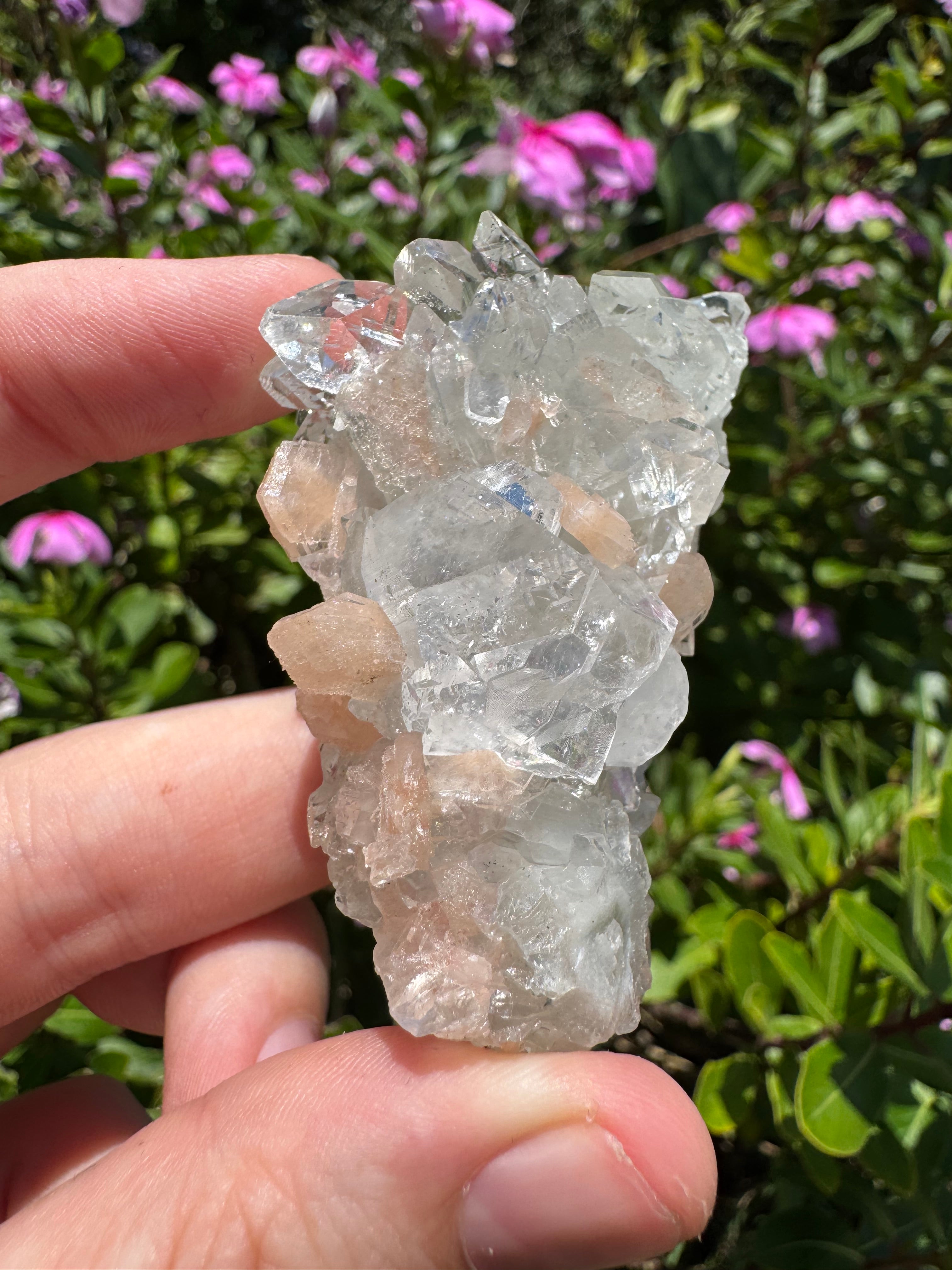 Glass Apophyllite With Stilbite Cluster - High Quality