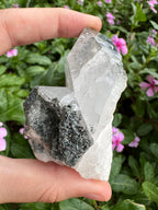 Silver Garden Quartz with Actinolite Inclusions Point