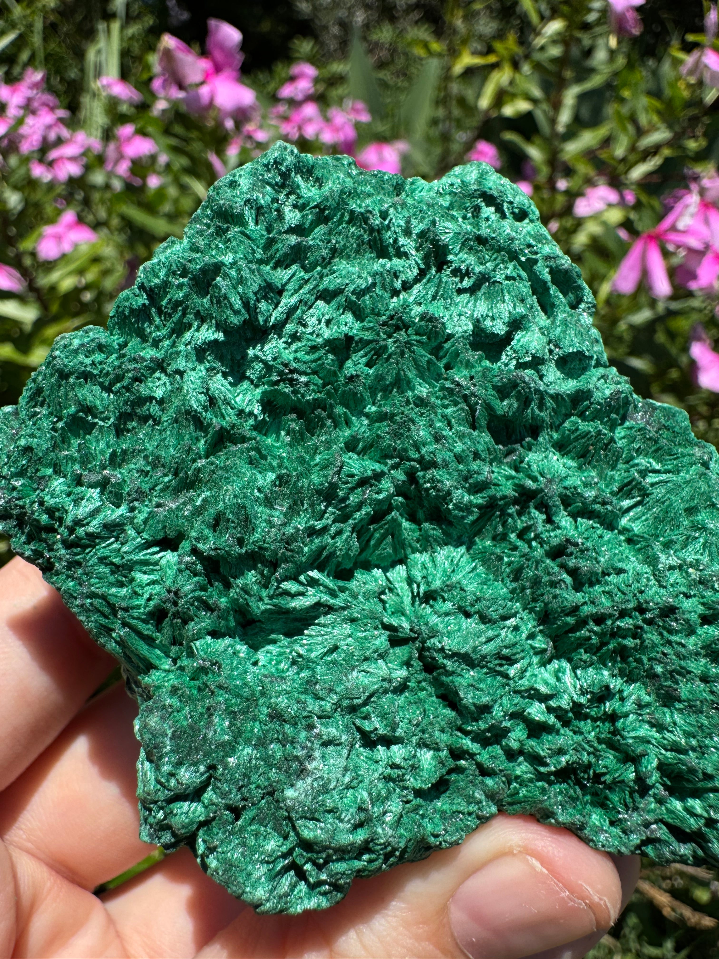 Malachite ‘Fibrous’ Specimen
