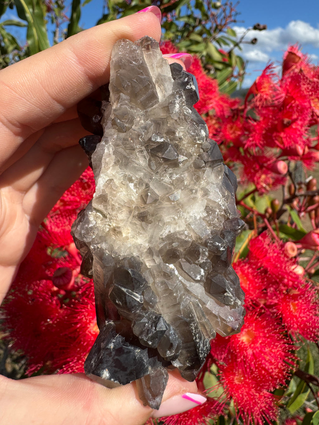Deep Black Smoky Quartz Cluster