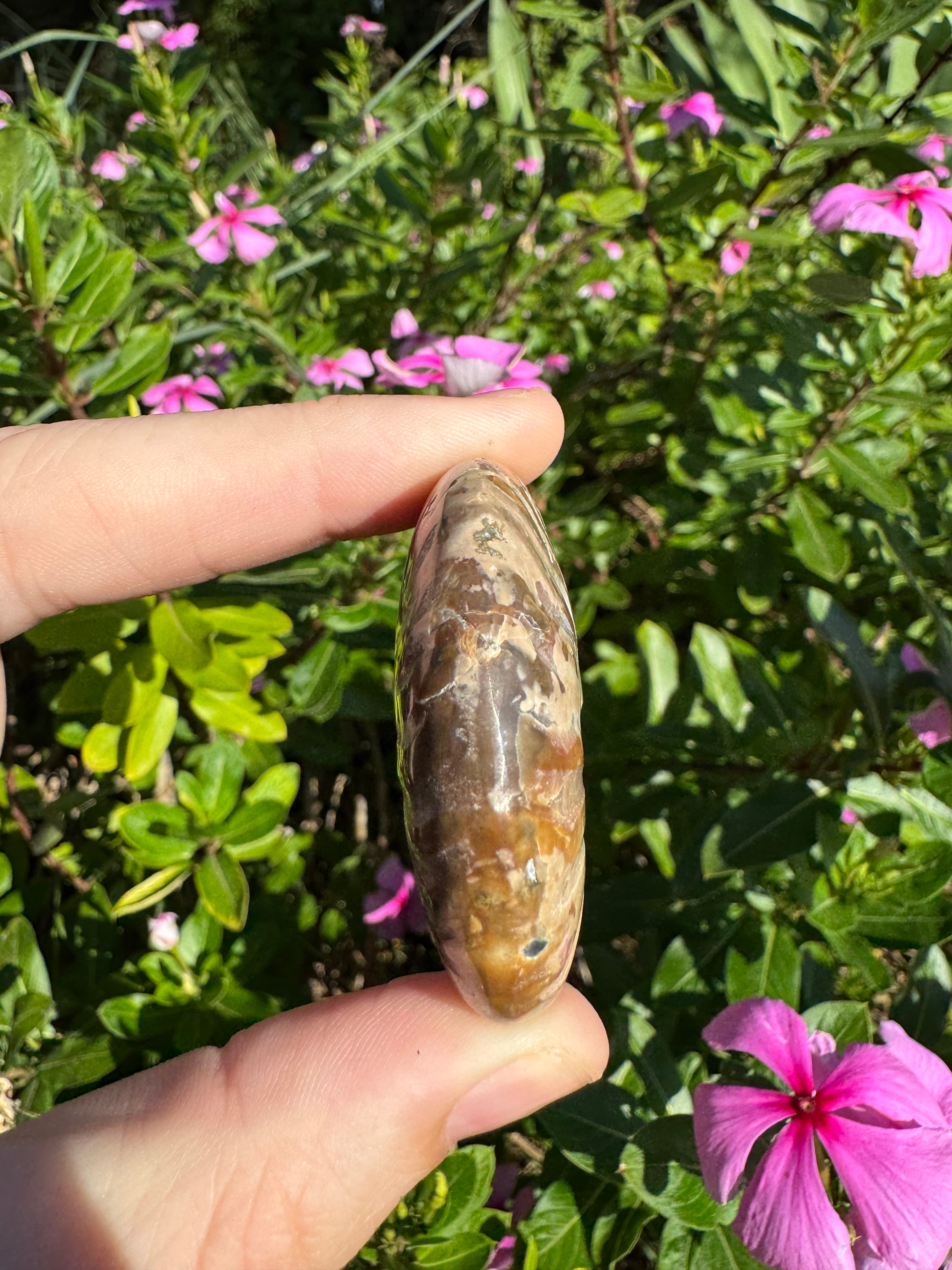 Opalised Ammonite Fossil - Red Flash
