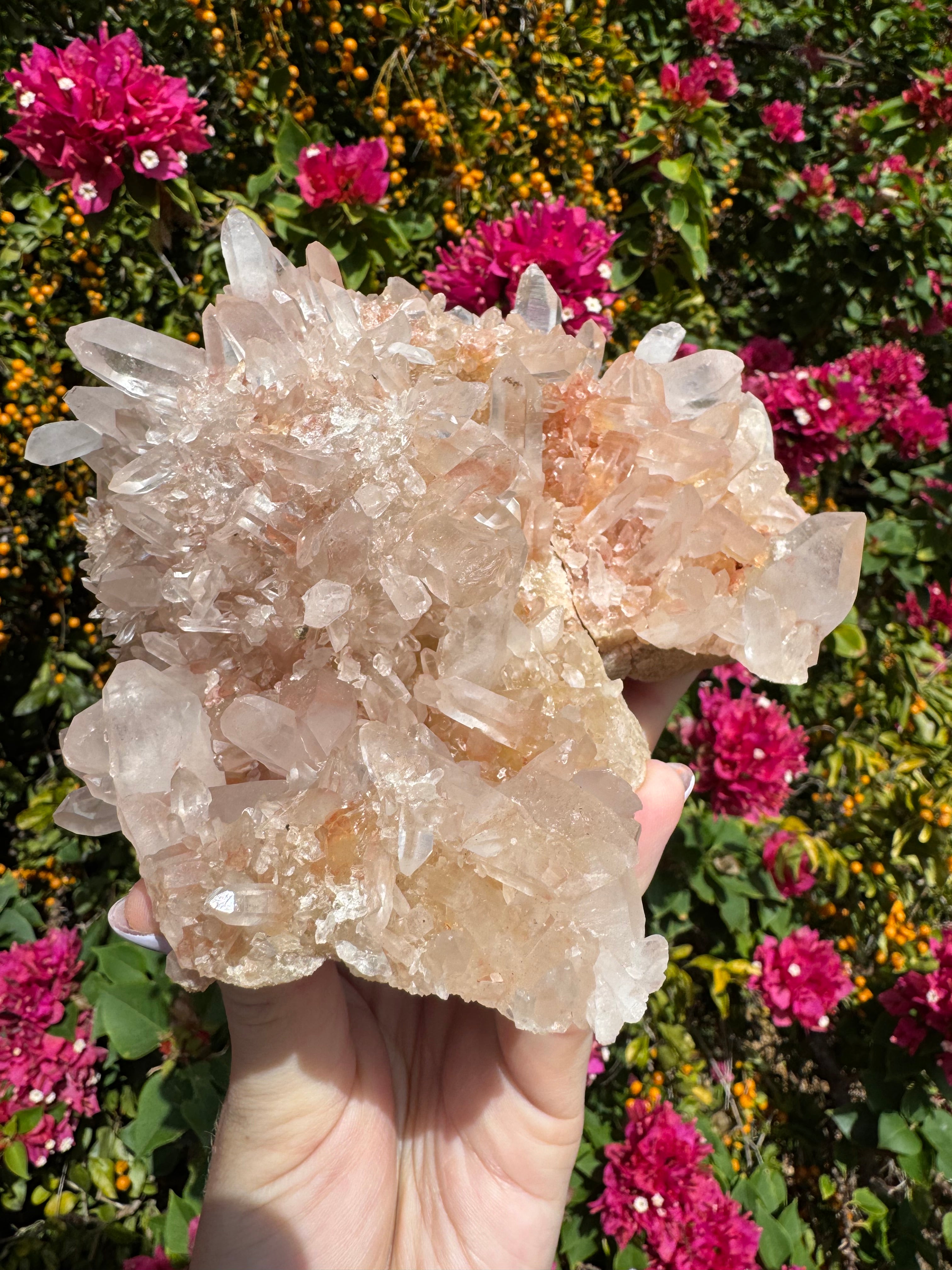 Pink Himalayan Samadhi Quartz Cluster